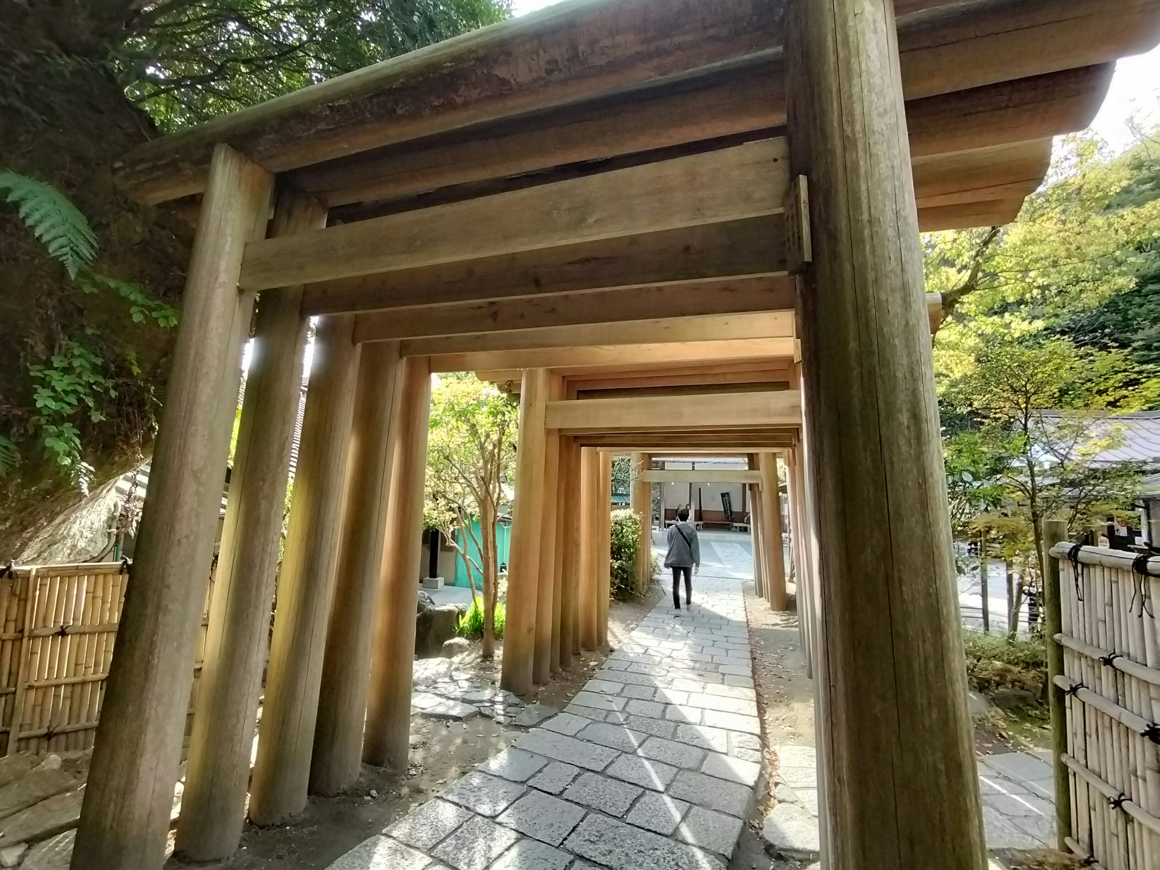 Pathway lined with wooden torii gates and a person walking