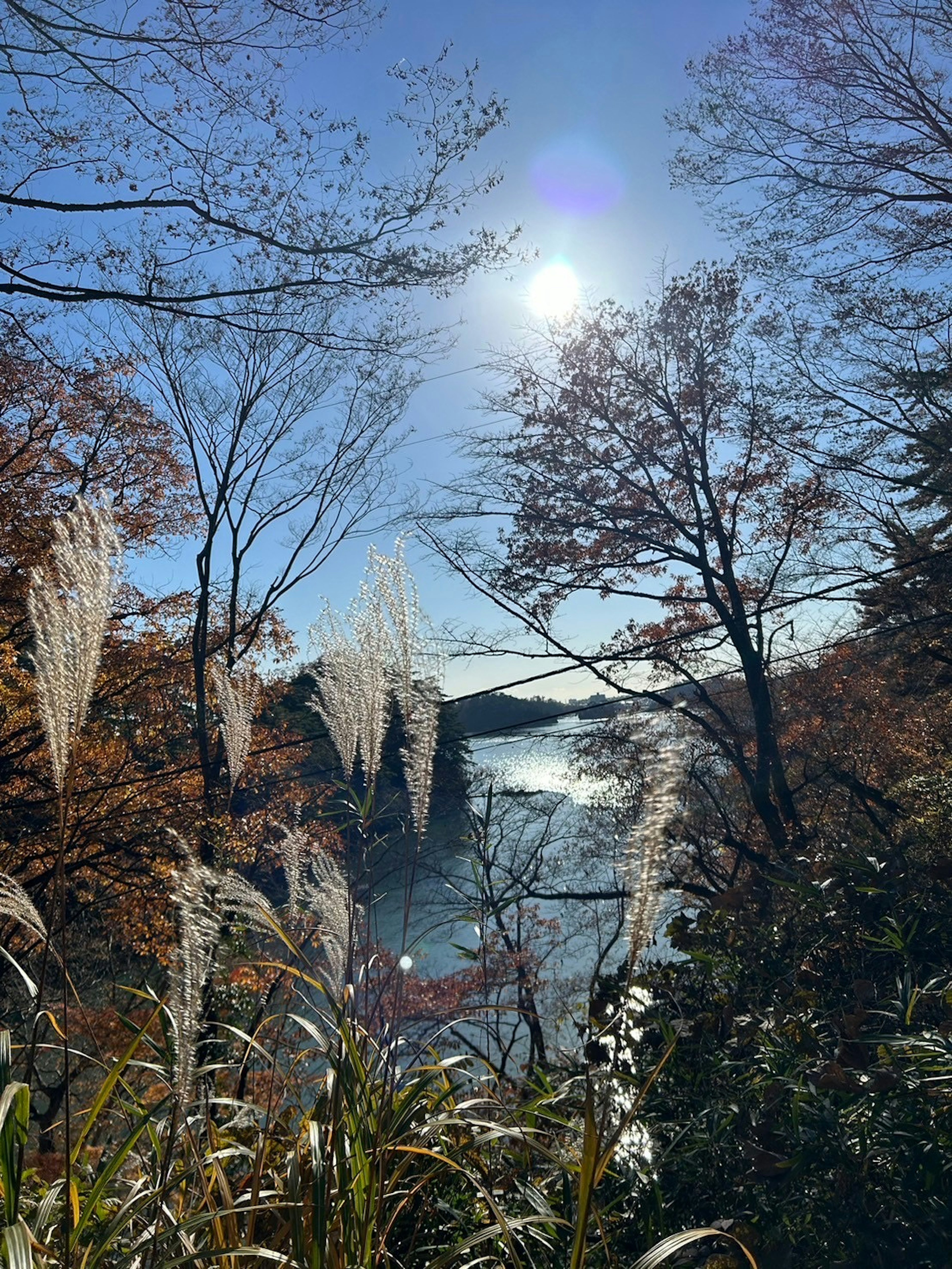 秋の風景に照らされた太陽と湖の風景