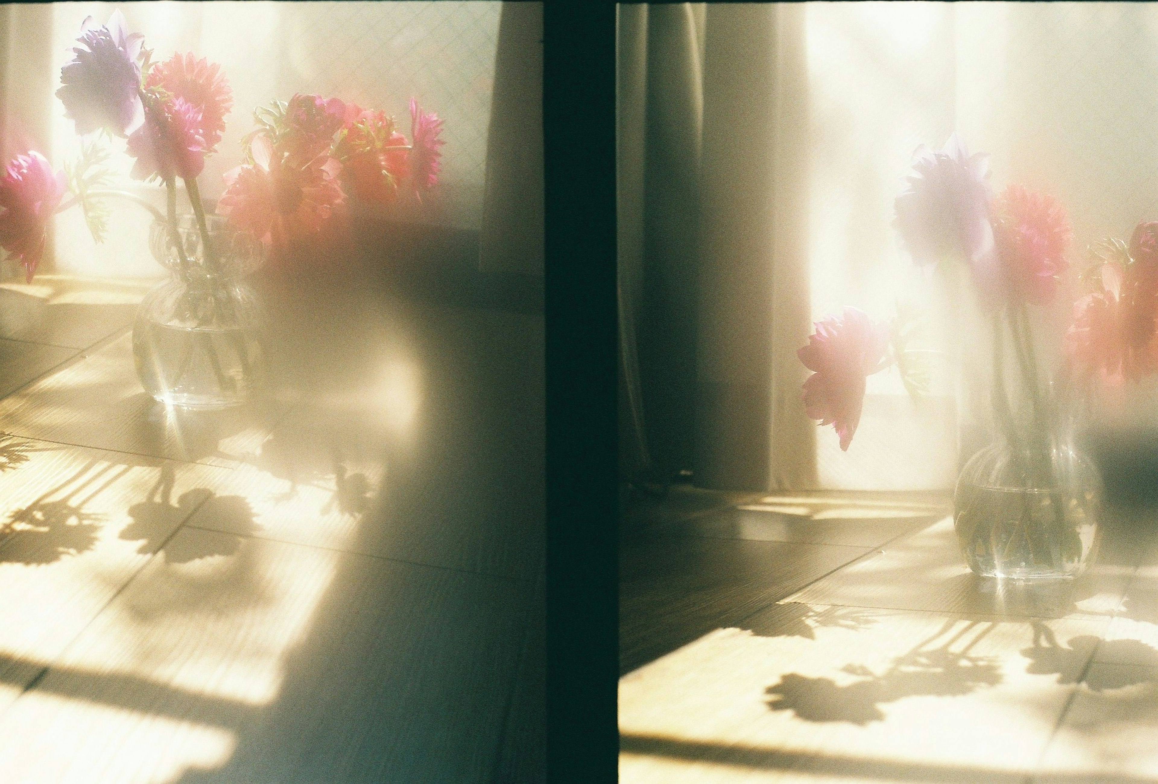 A scene with a vase of flowers casting soft shadows in gentle light