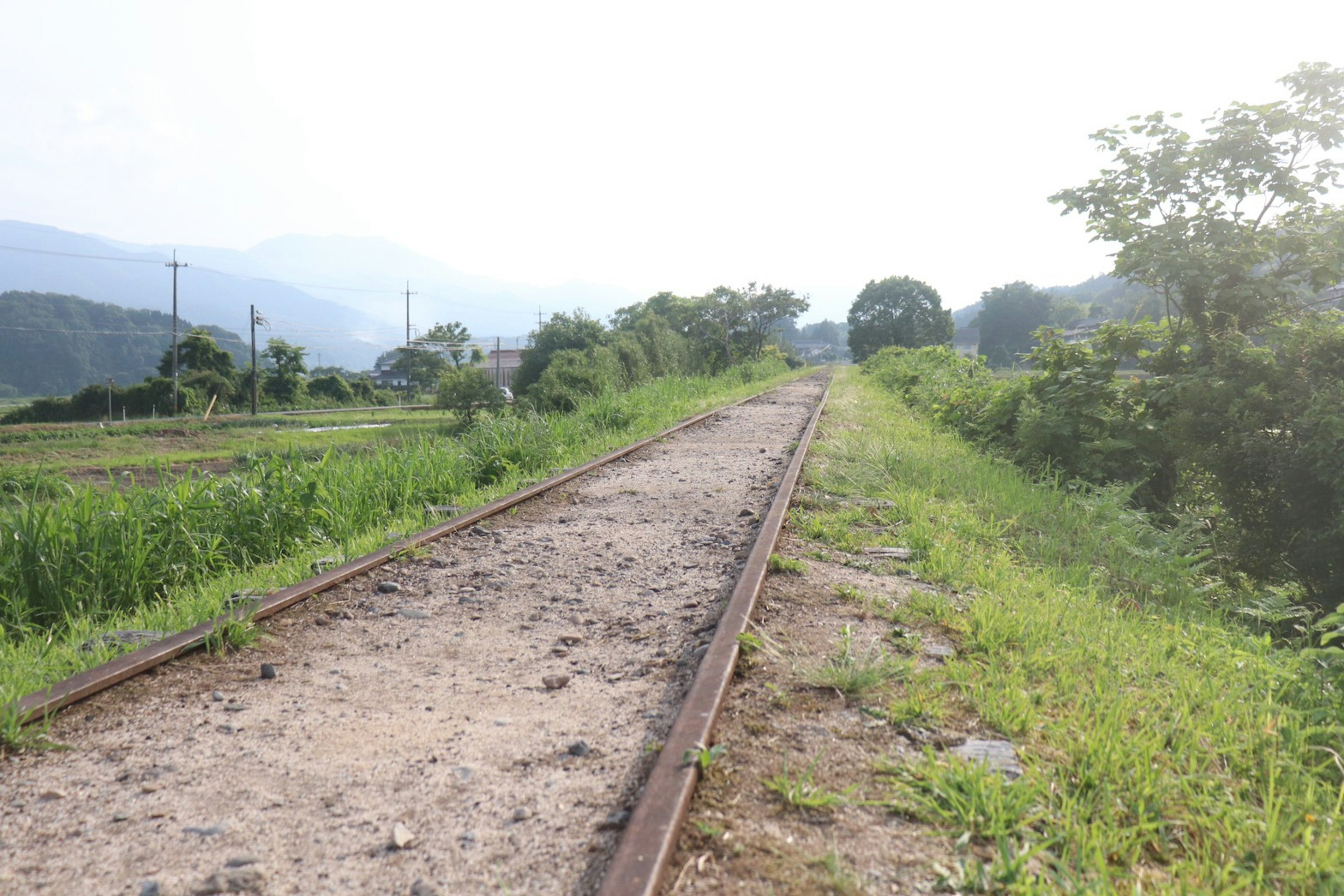 รางรถไฟที่ถูกทิ้งร้างล้อมรอบด้วยหญ้าและต้นไม้