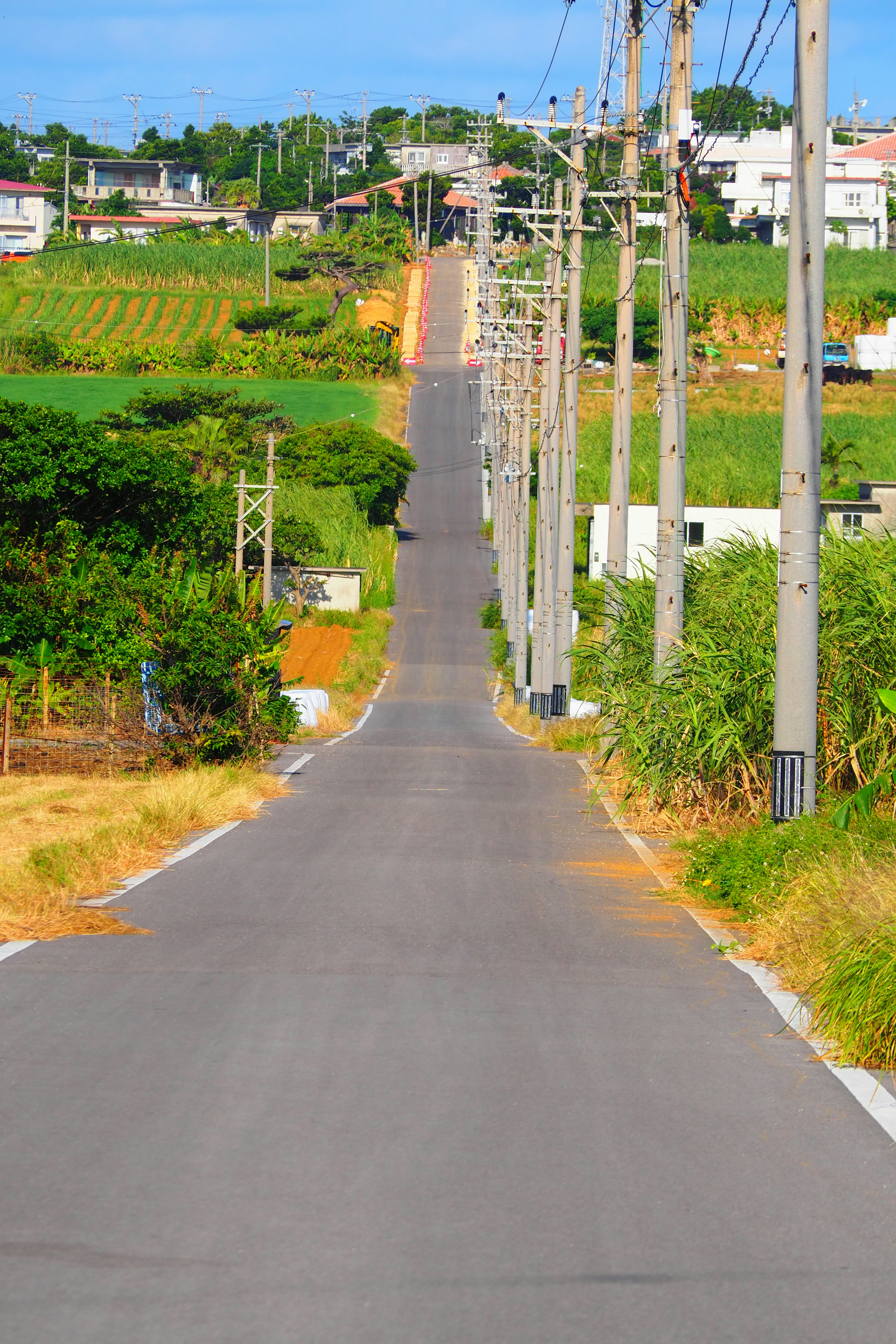 A long straight road surrounded by greenery and power poles