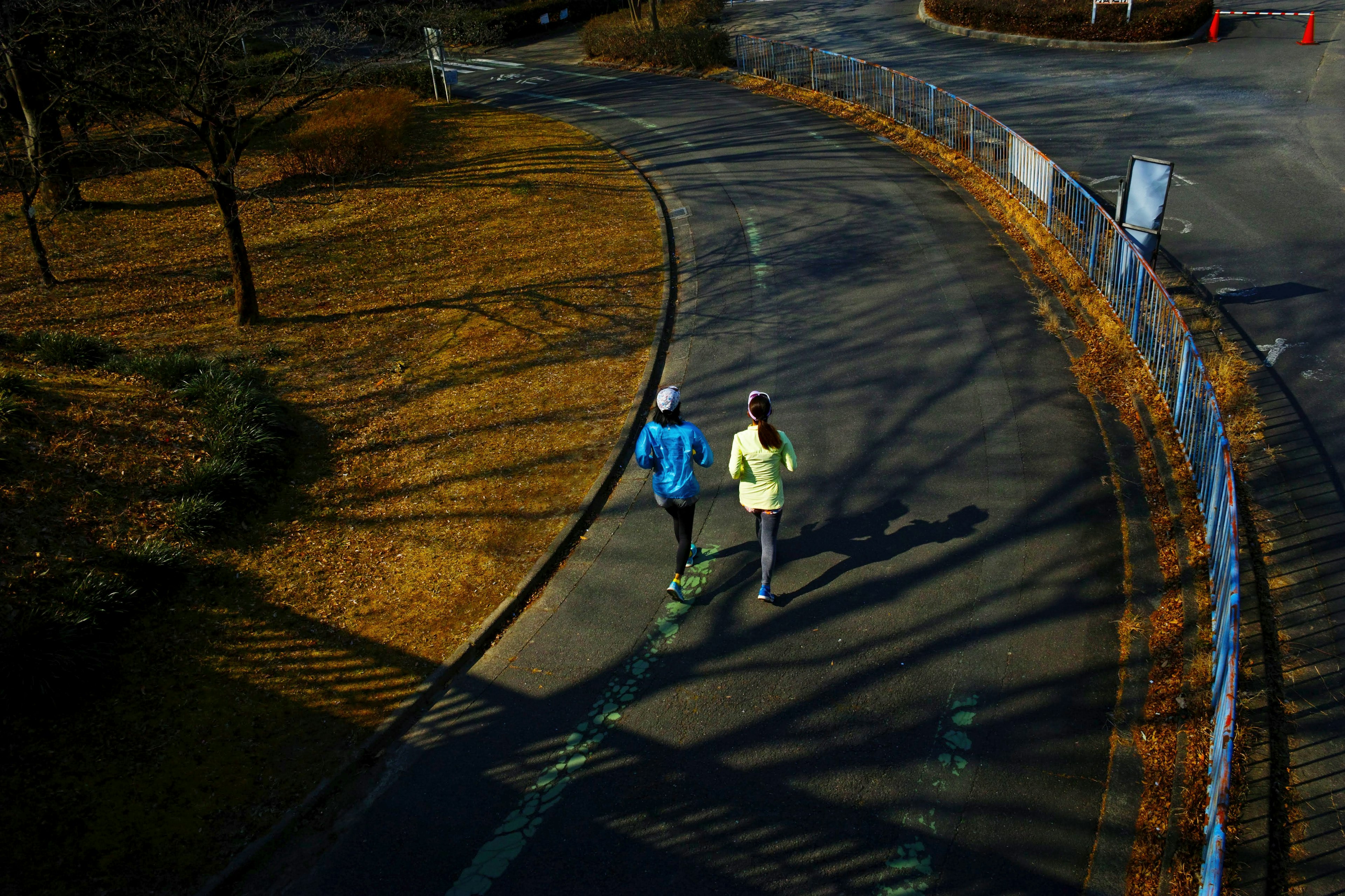 Two runners jogging on a winding path in an autumn park