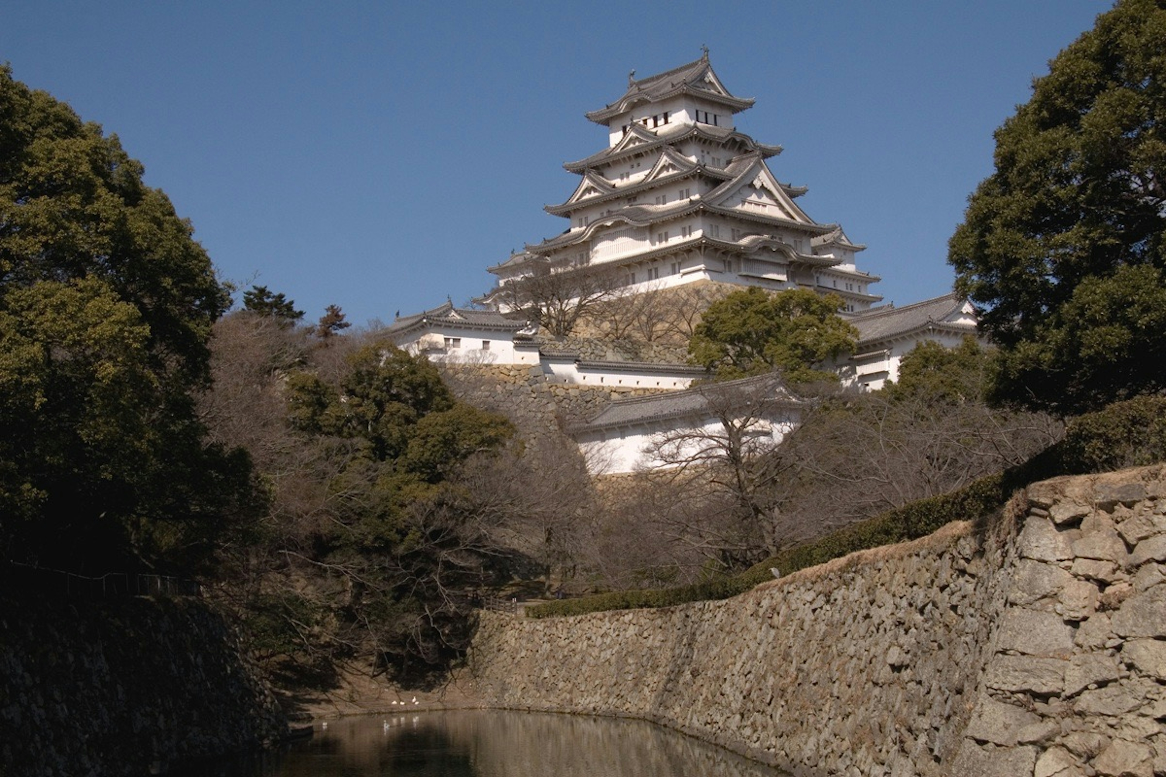 Castillo japonés con muros blancos rodeado de árboles