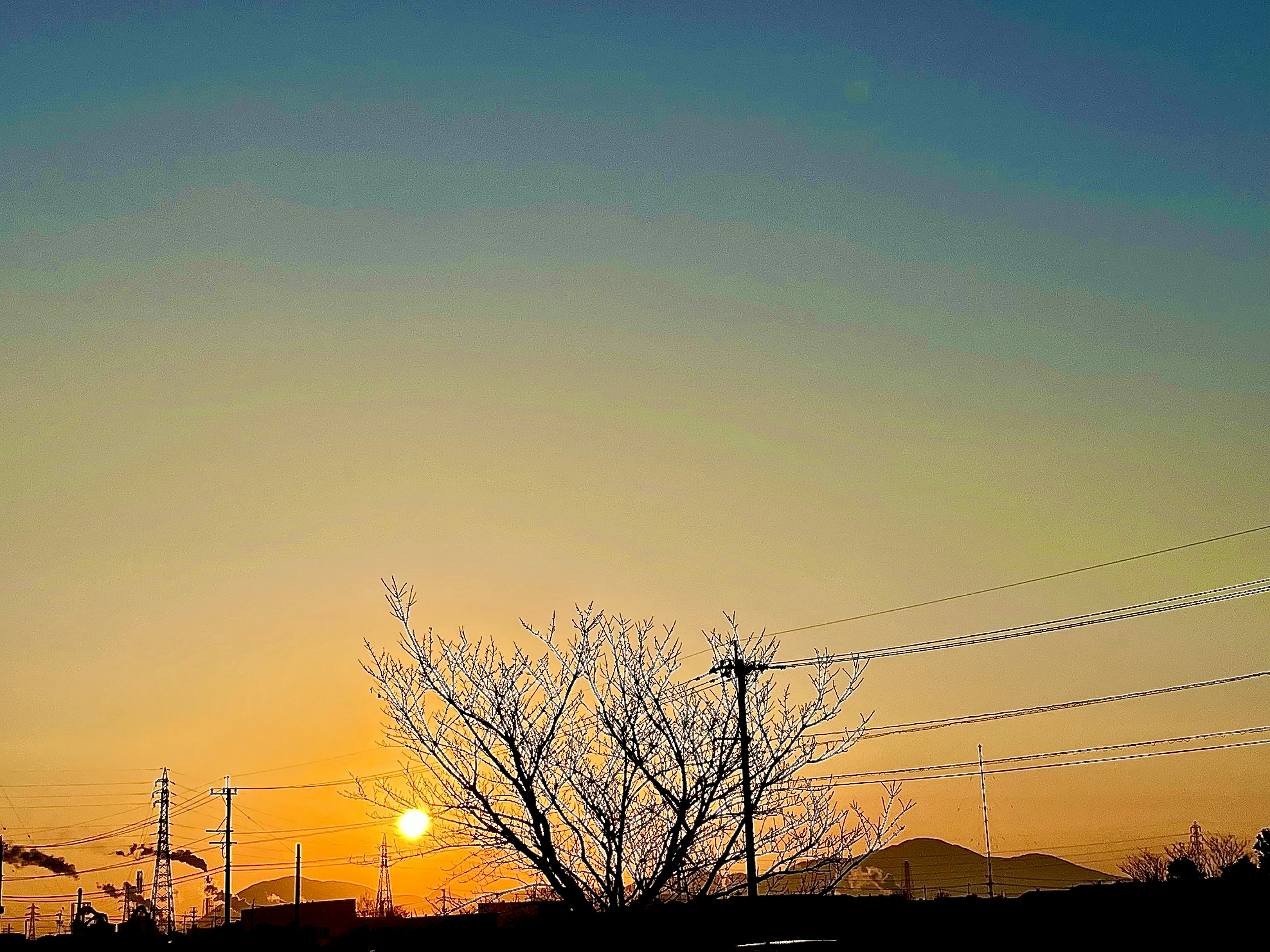 夕日が沈む空とシルエットの木