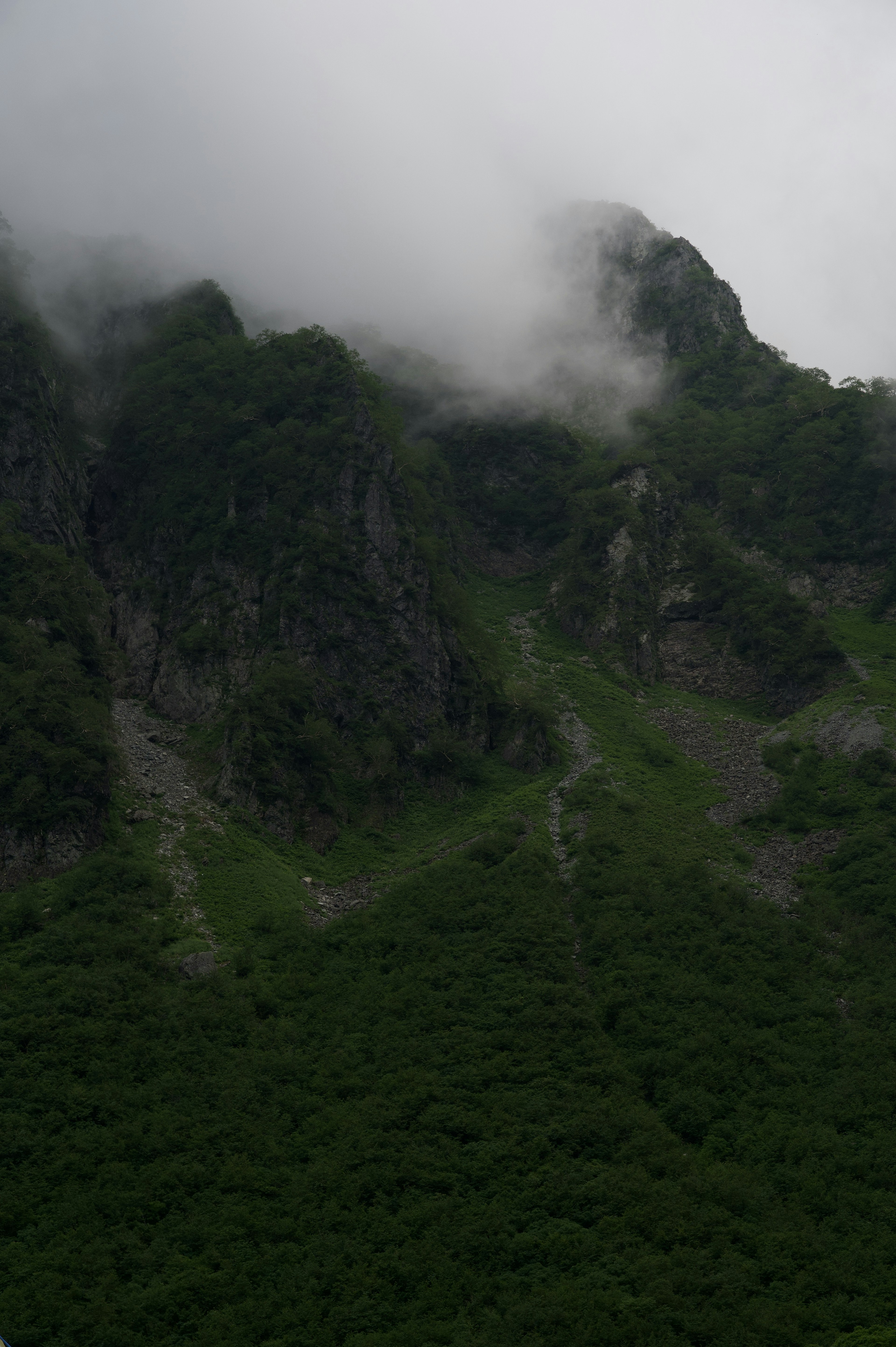 雾蒙蒙的山景，郁郁葱葱的绿色植物和陡峭的斜坡