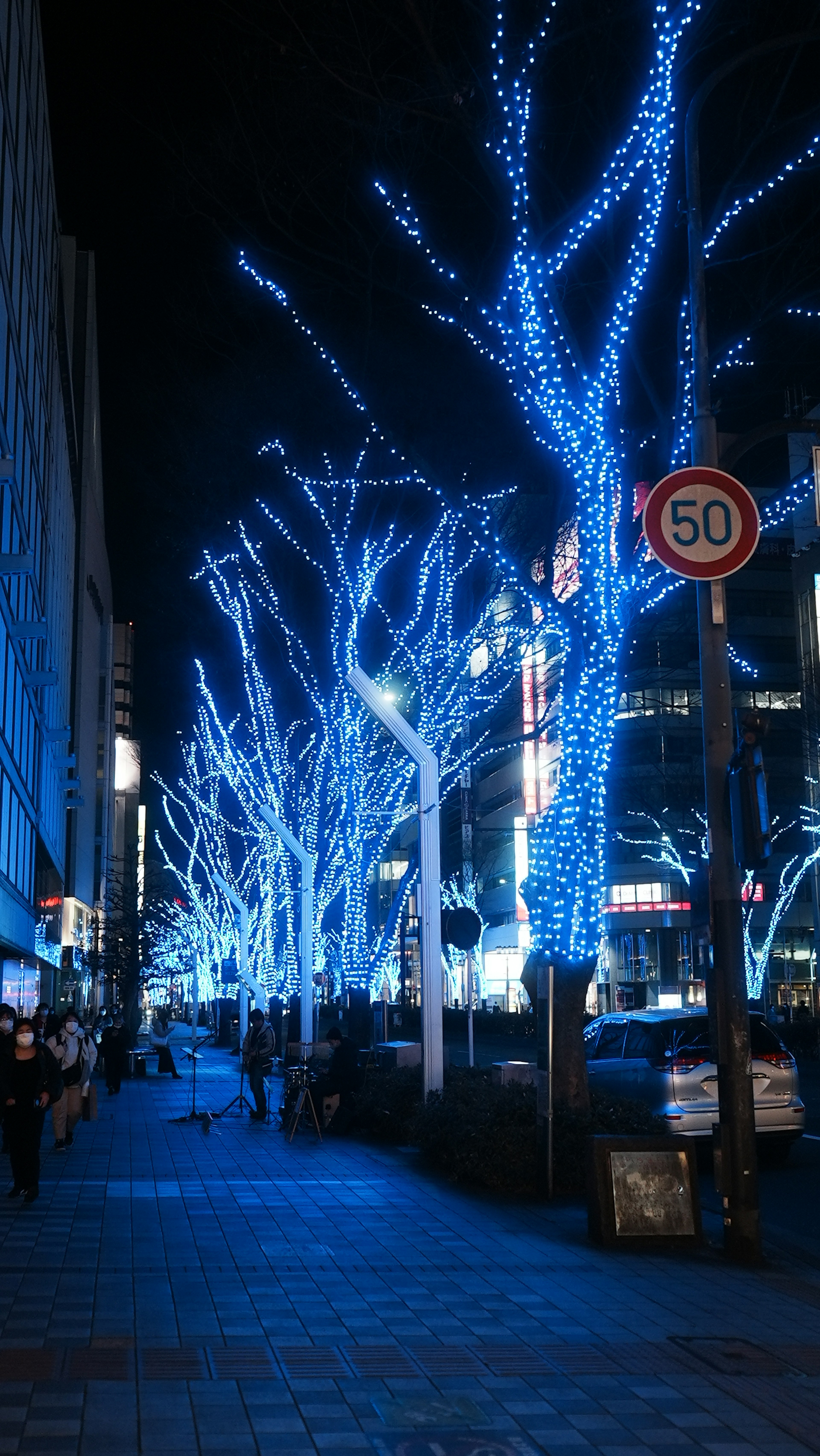 Trees illuminated with blue lights in a nighttime city street