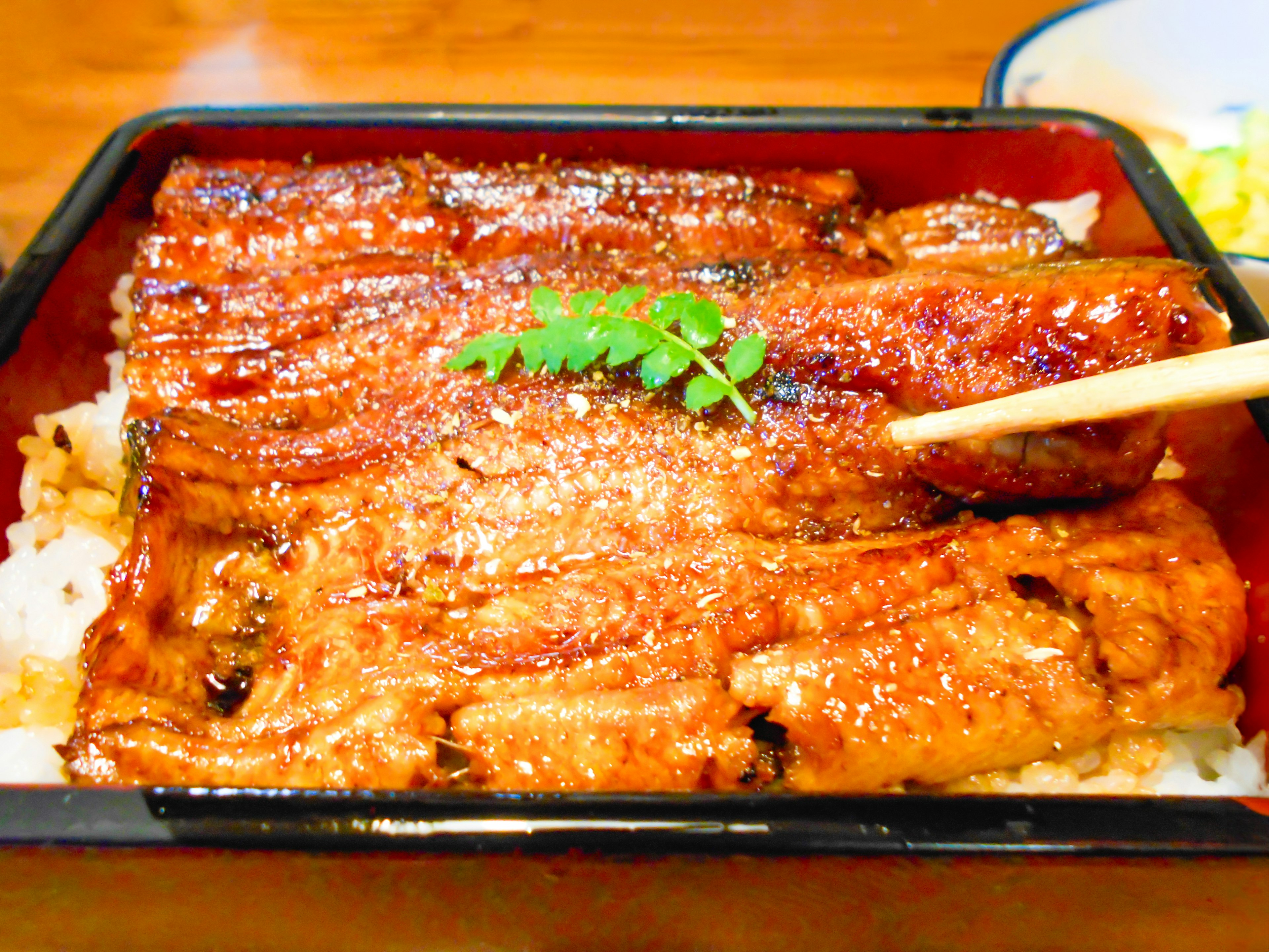 Grilled eel served over rice with a sprig of green garnish