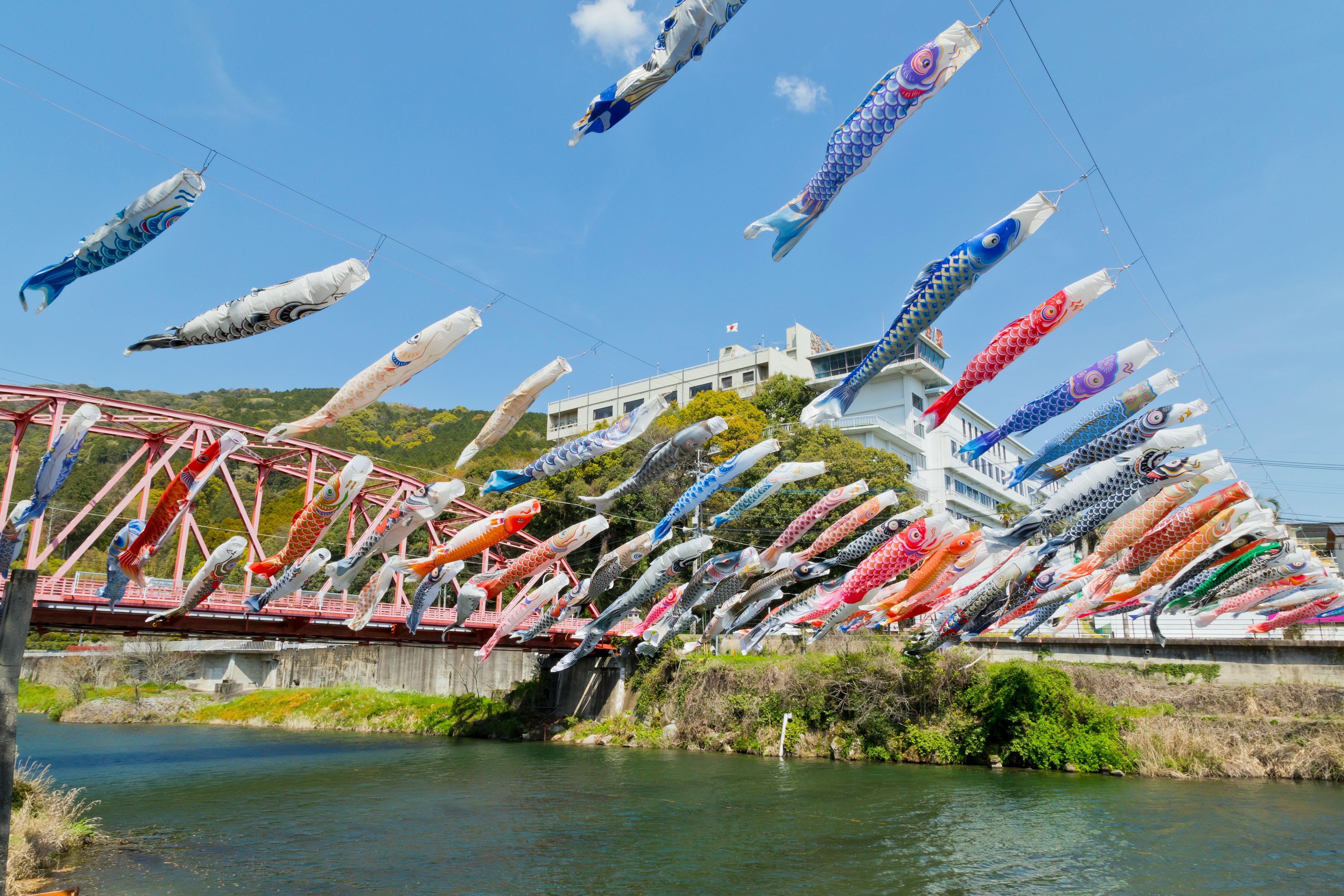 色とりどりの鯉のぼりが川の上に飾られた風景