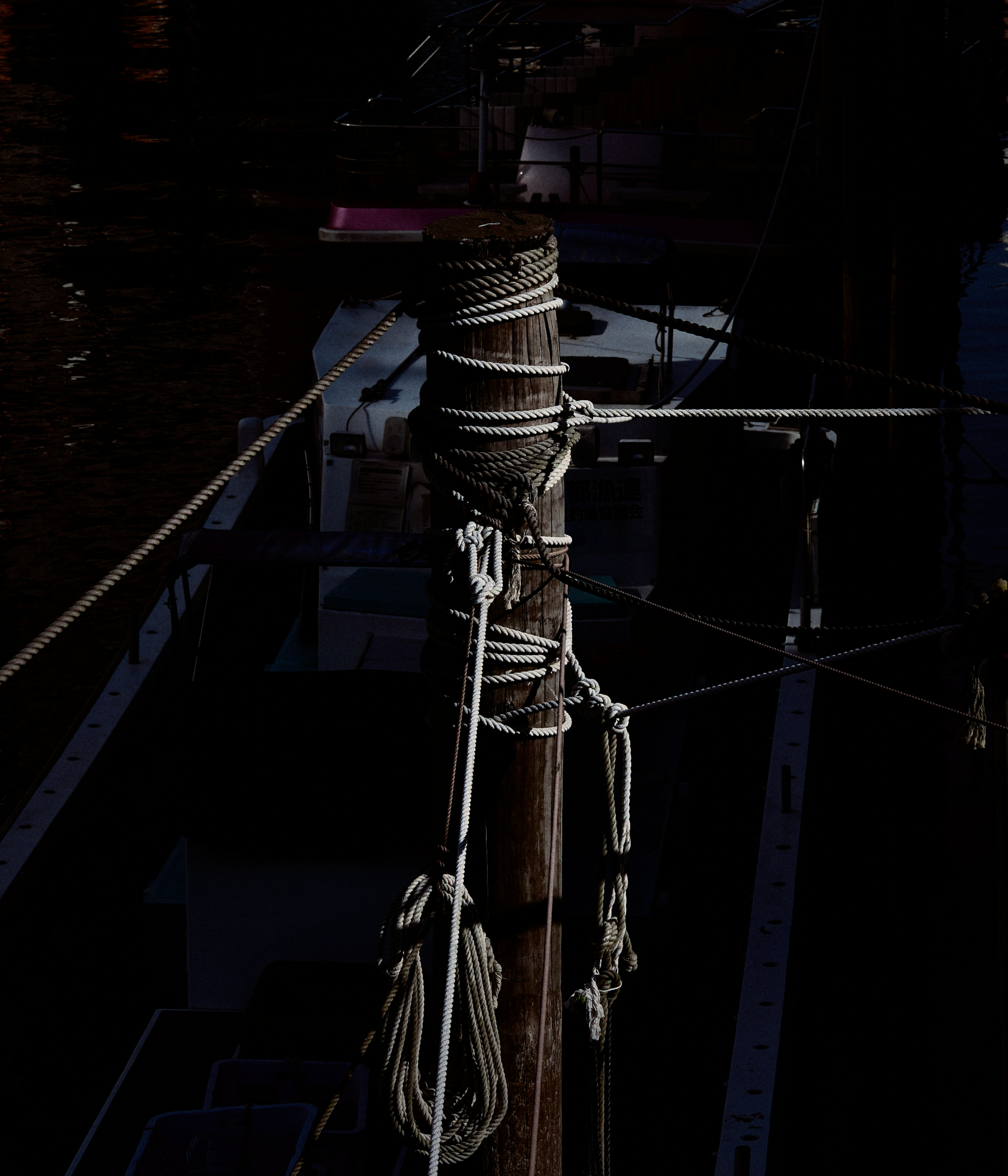 Image d'un poteau en bois attaché avec des cordes se reflétant sur de l'eau sombre