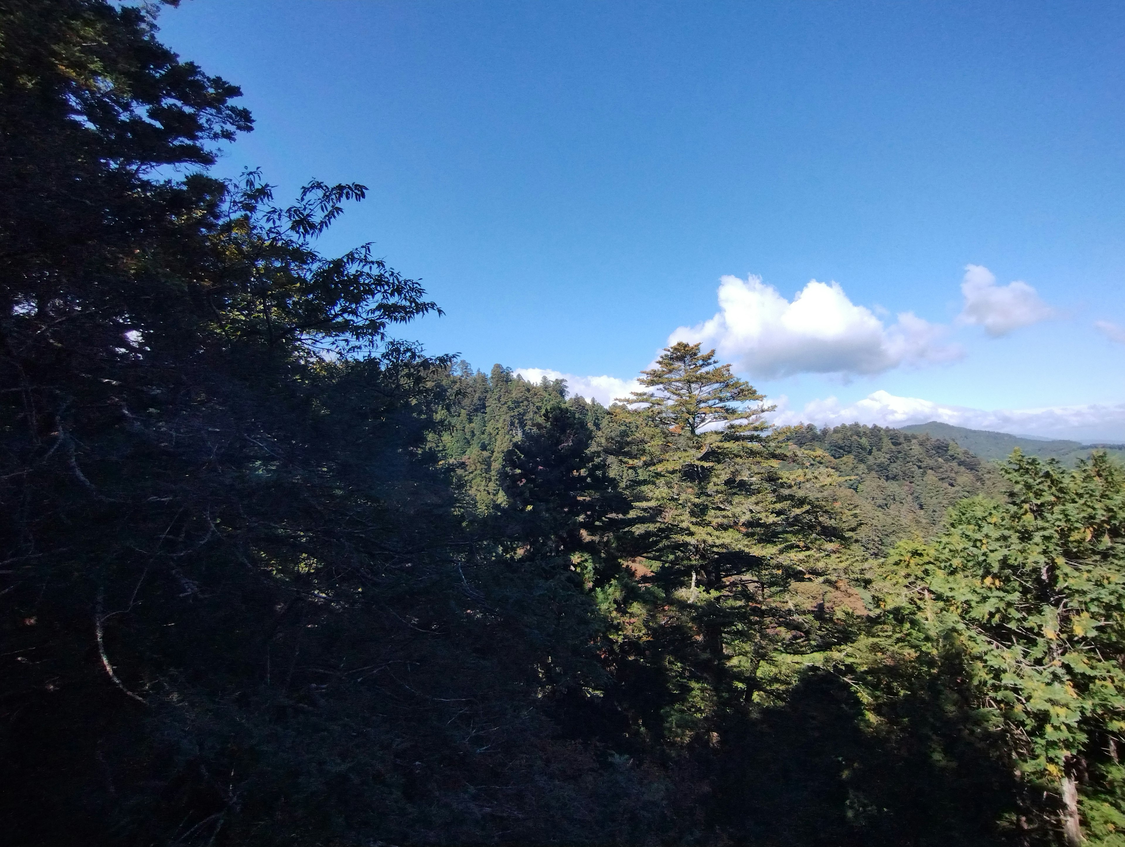 Paesaggio montano con alberi verdi e cielo blu