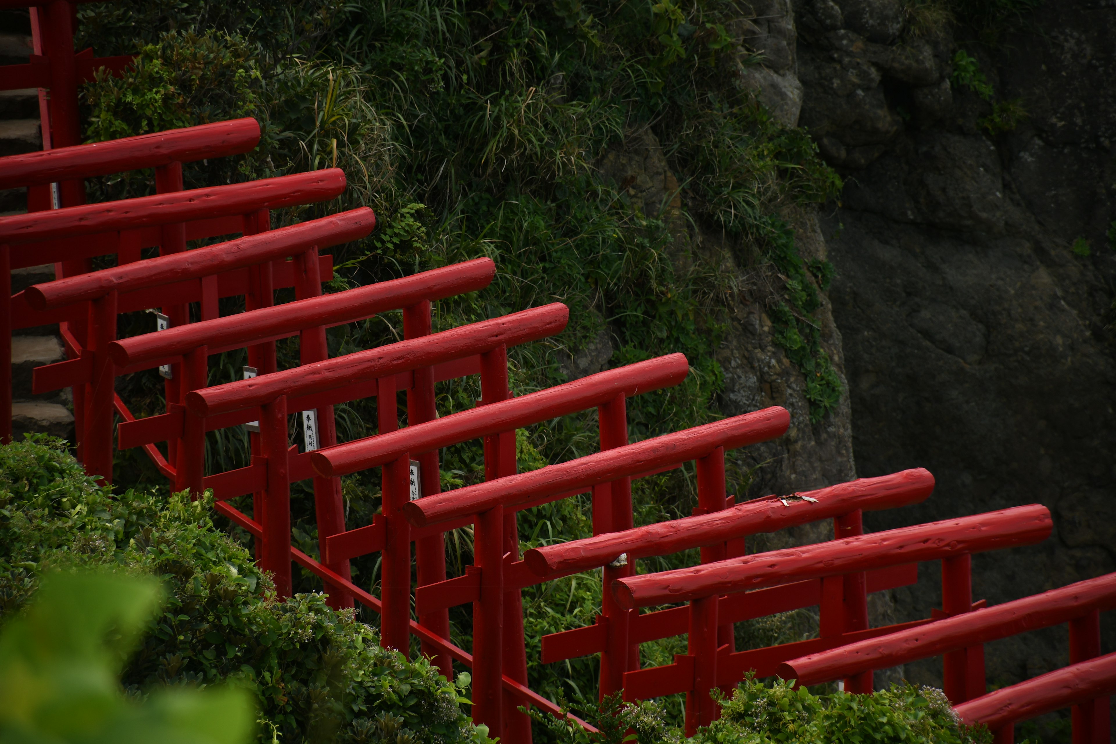 赤い鳥居の階段が緑の植物に囲まれている