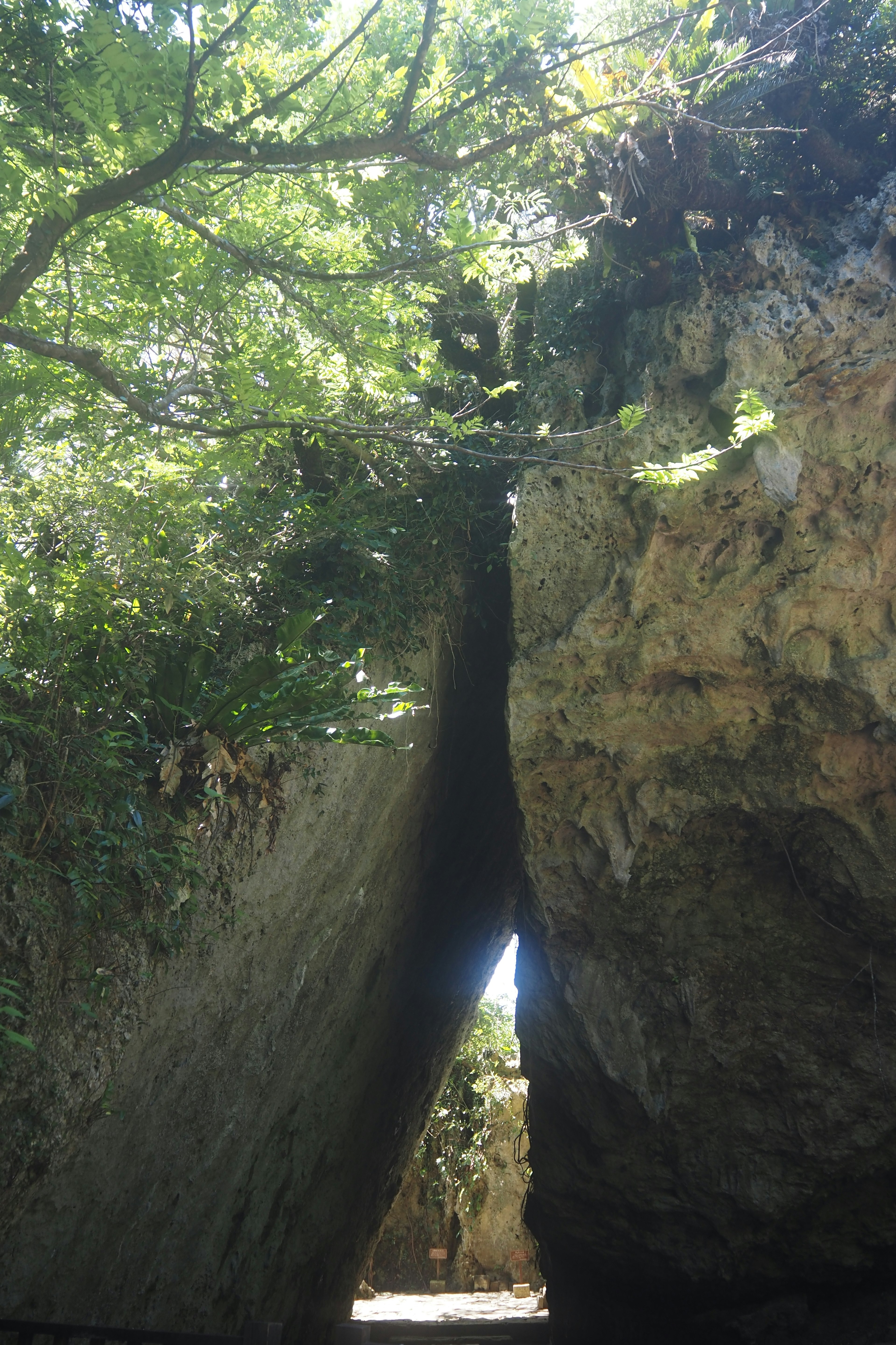 Narrow tunnel between two rock formations surrounded by green foliage