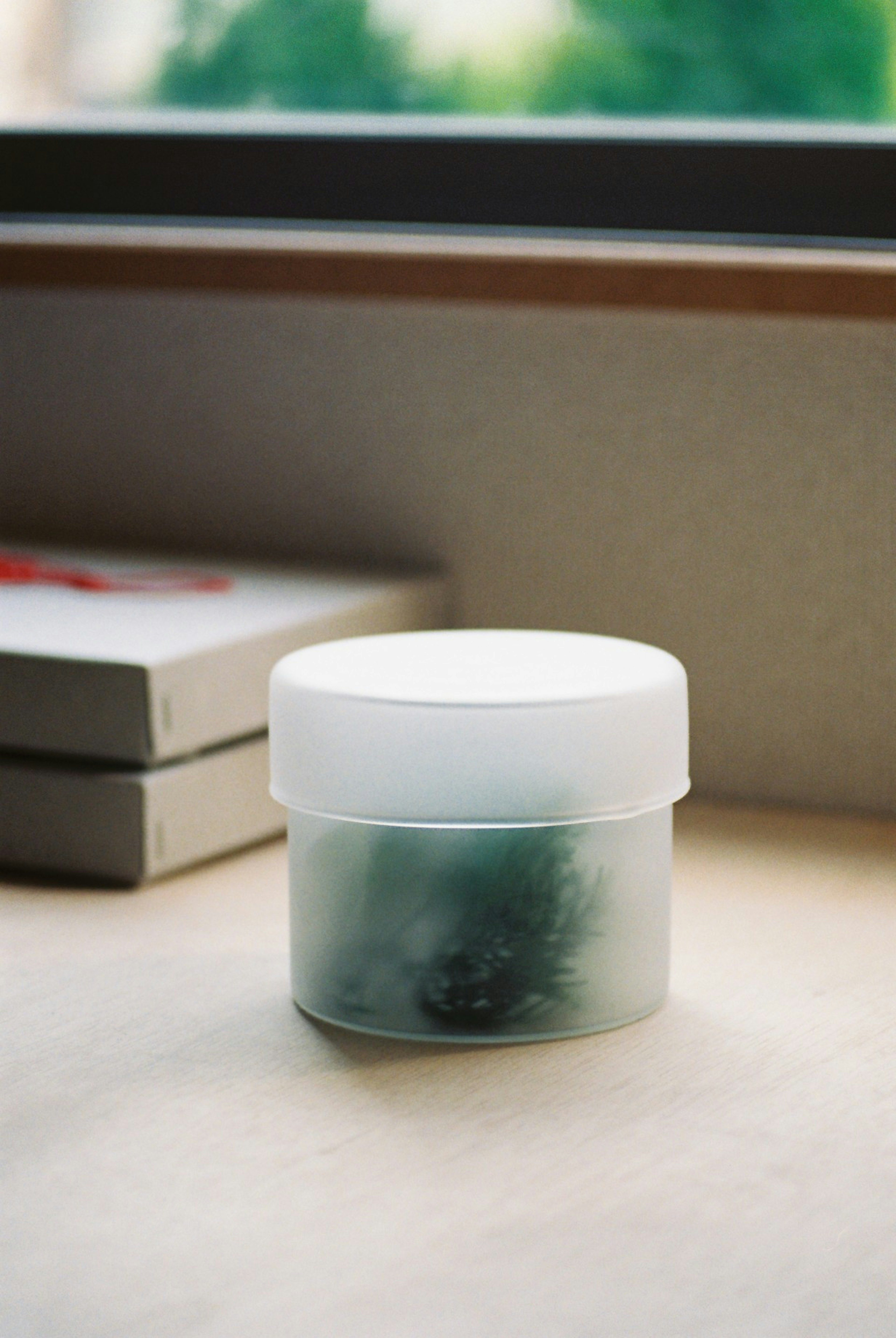 A transparent container with a white lid placed by a window