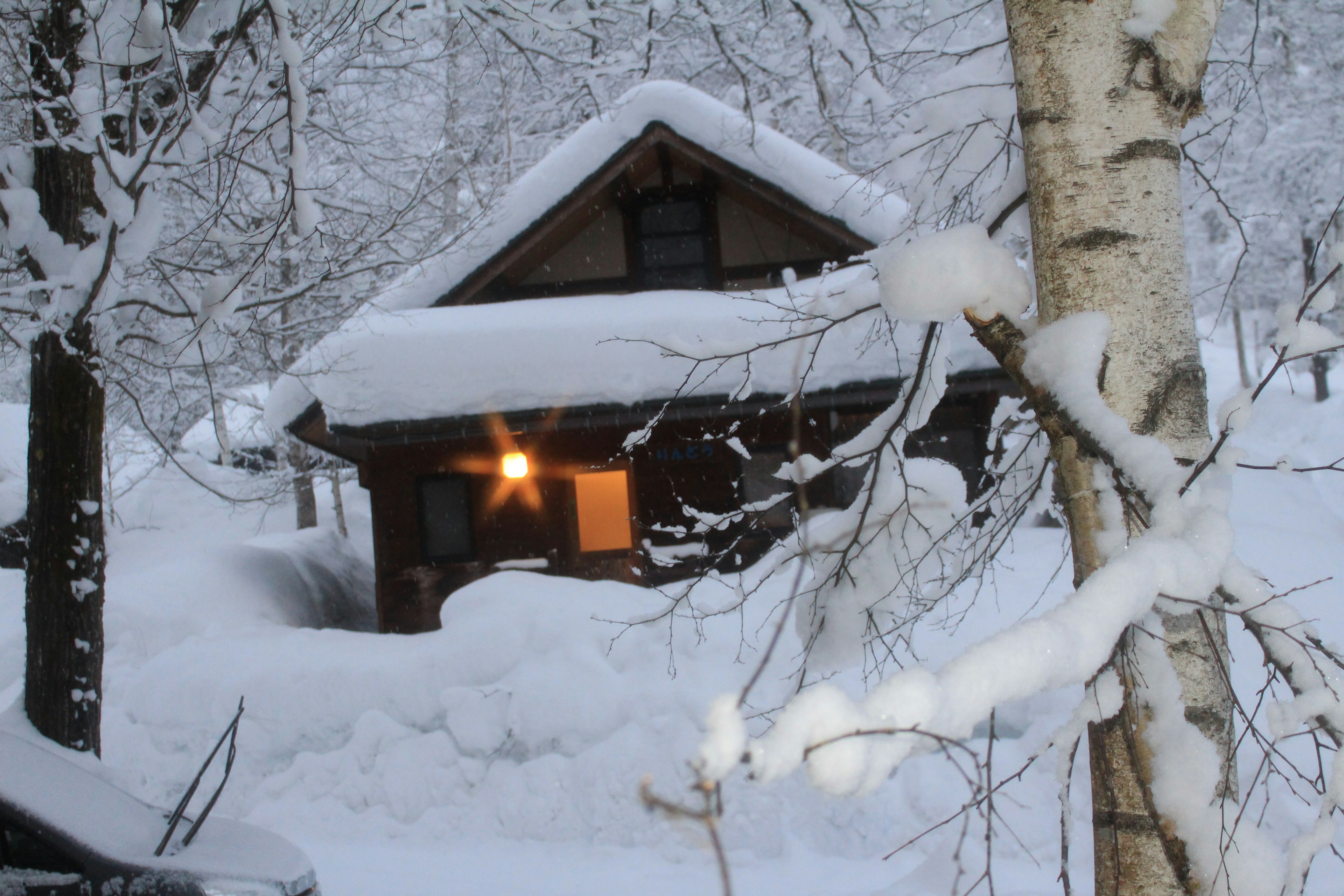 雪に覆われた小屋と木々の景色