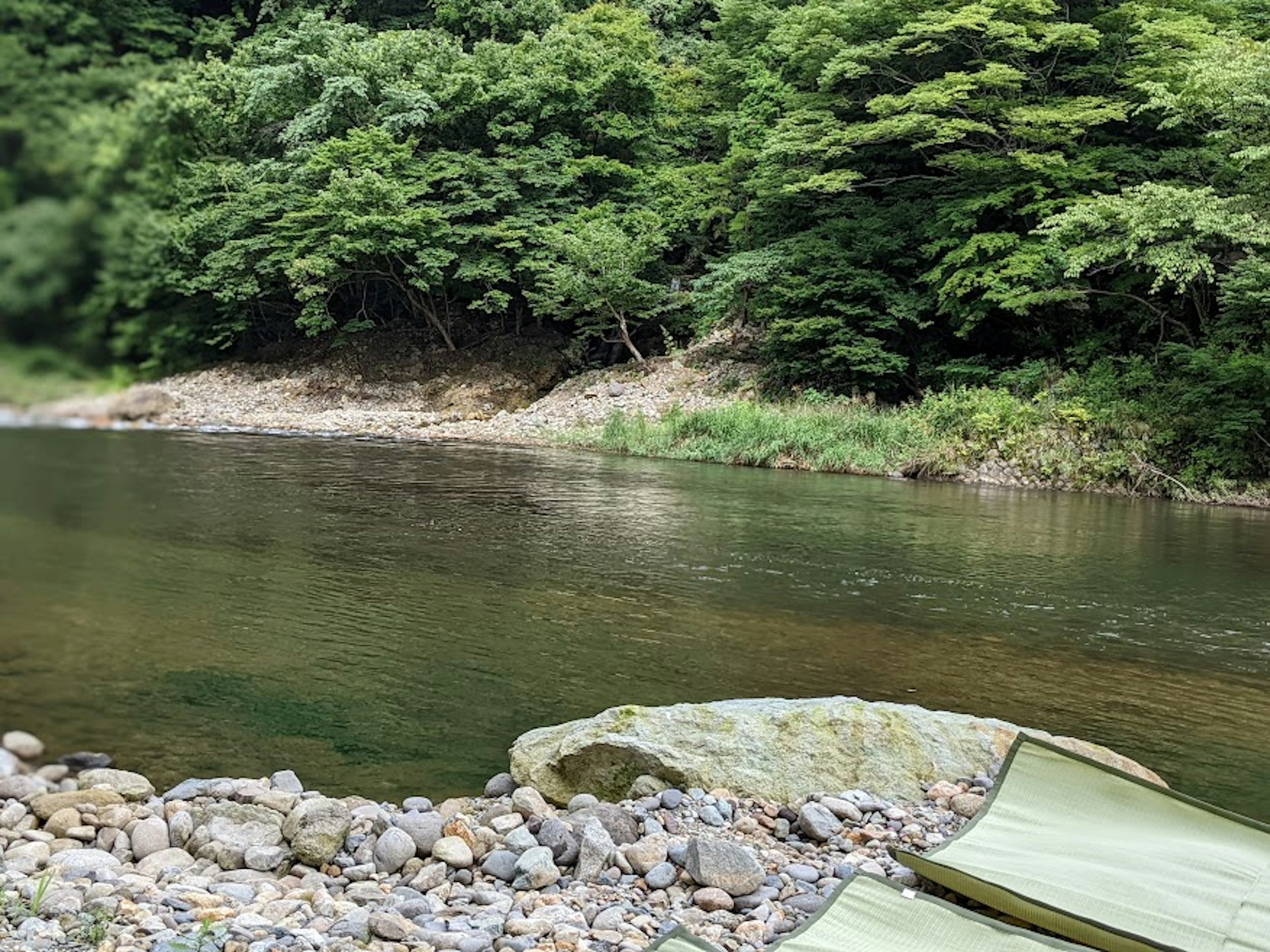 A serene riverside scene featuring stones and lush greenery