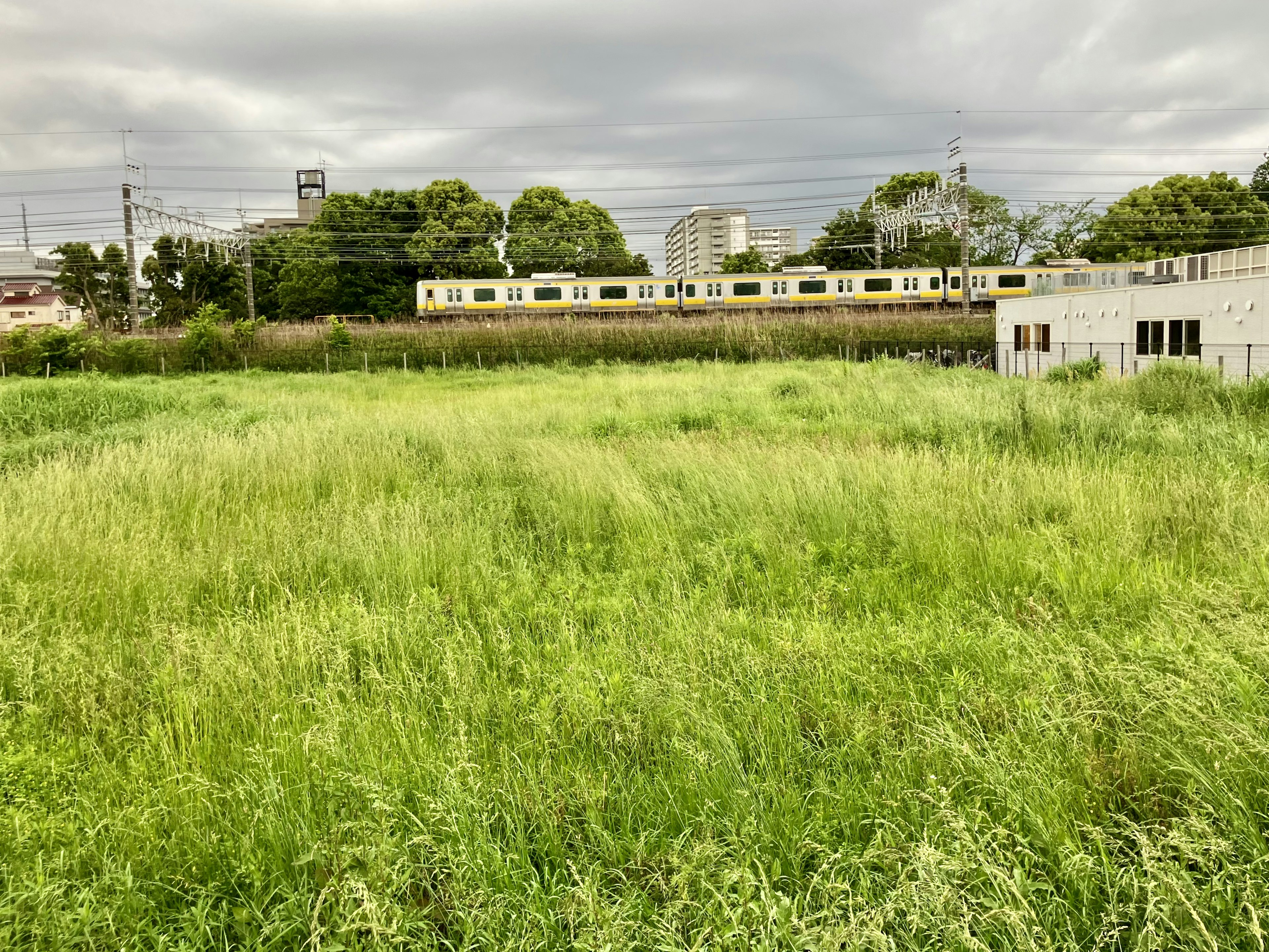 緑の草原と背景に電車が通る風景