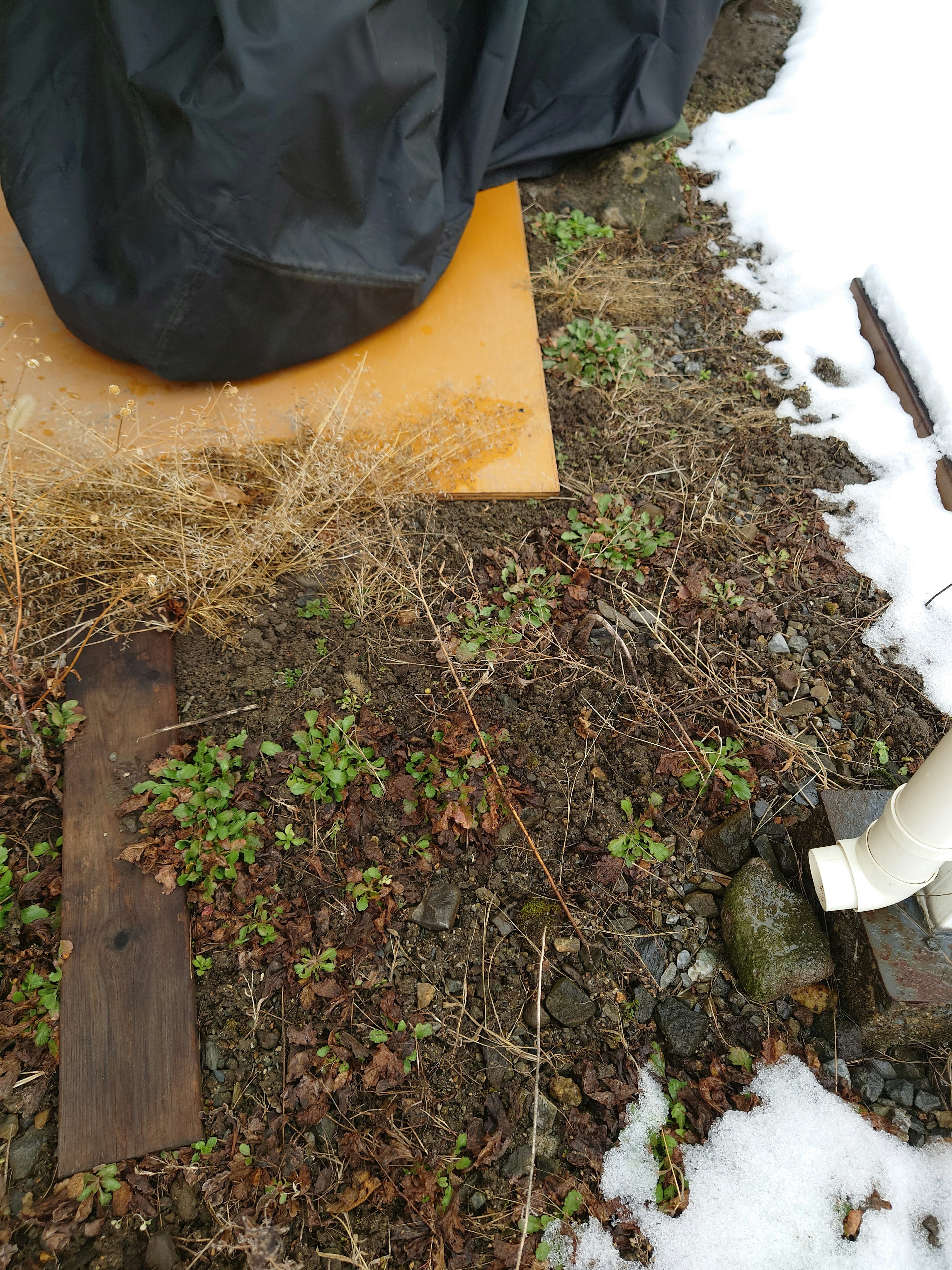 Wooden board and grass on snowy ground