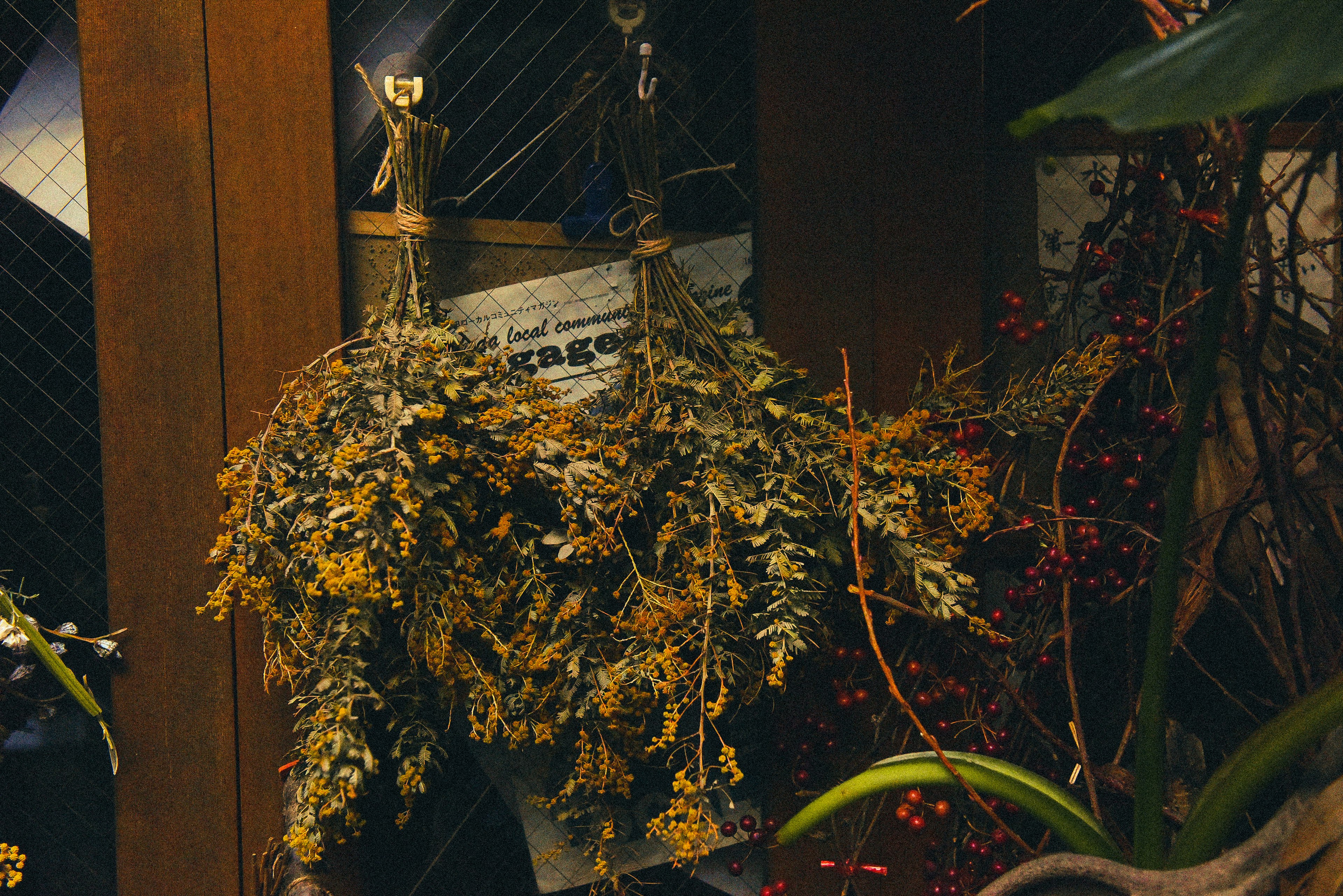 Un bouquet d'herbes séchées suspendu à l'intérieur