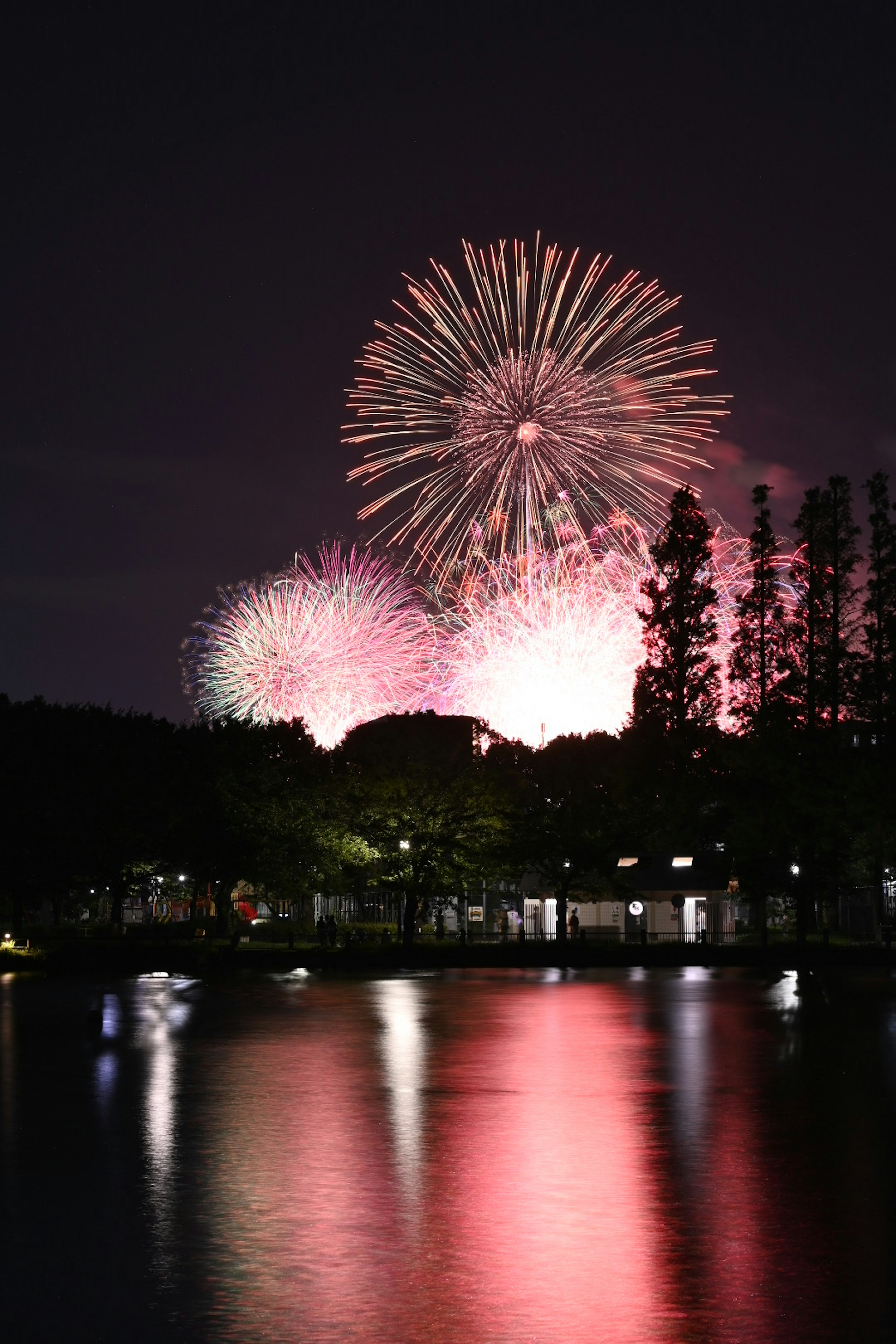 Fuegos artificiales iluminando el cielo nocturno con reflejos en un lago tranquilo