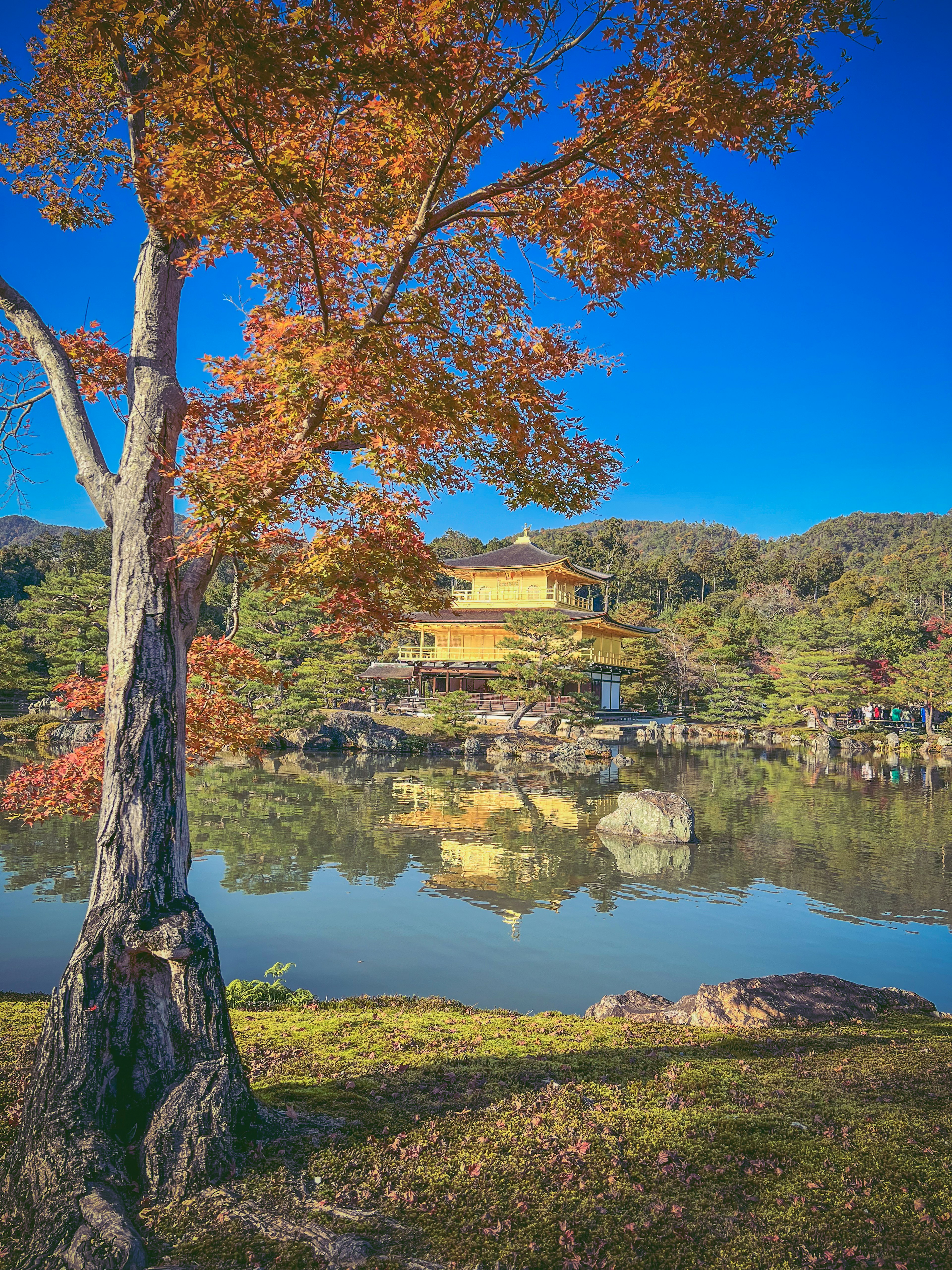 美しい秋の風景に囲まれた金閣寺の反射が池に映る