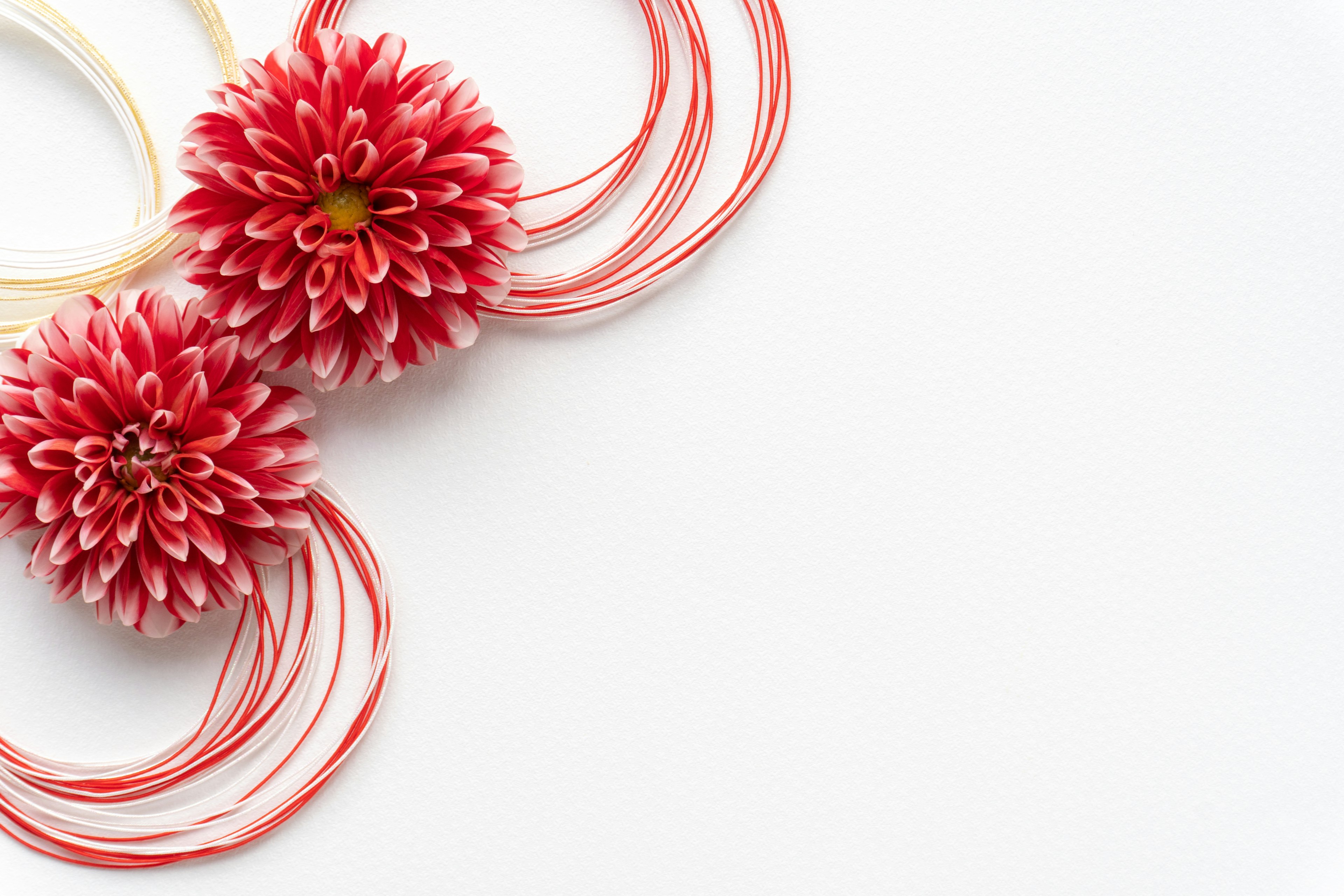 Arrangement de fleurs rouges avec des décorations blanches