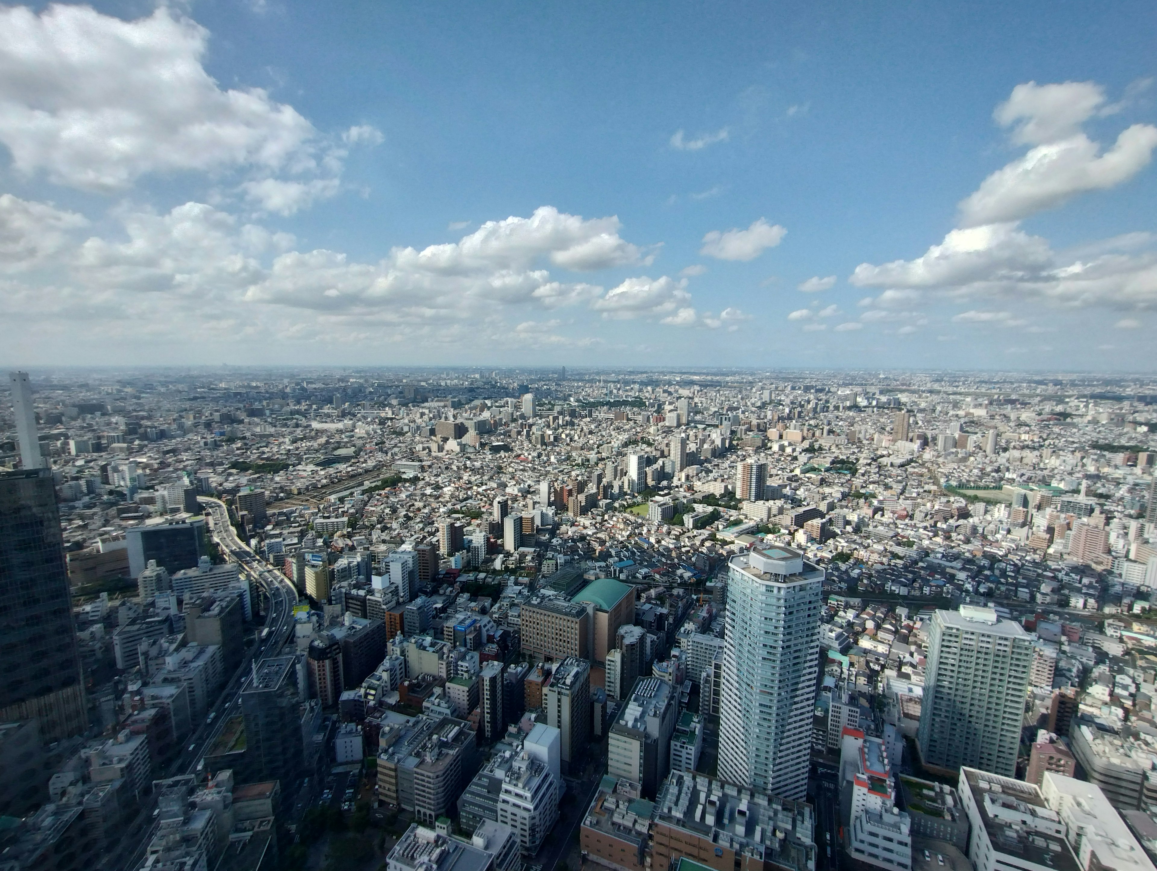 东京的全景，展示摩天大楼和广阔的城市景观