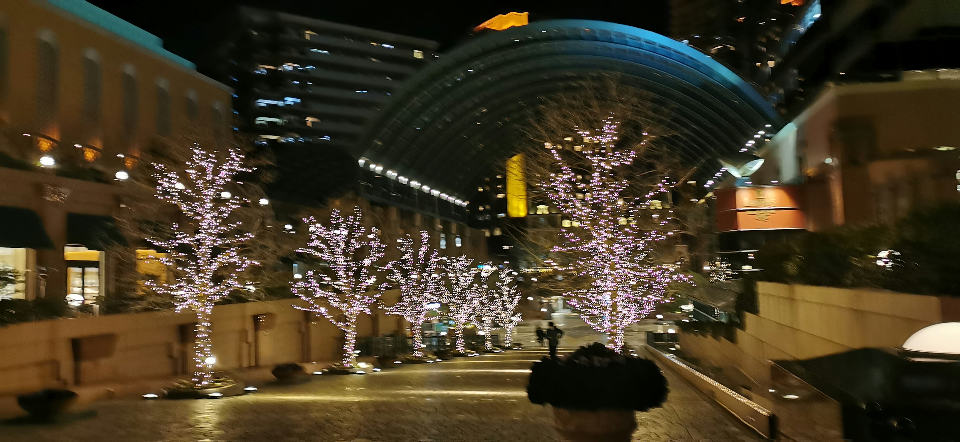 Illuminated trees and modern buildings in a nighttime urban setting