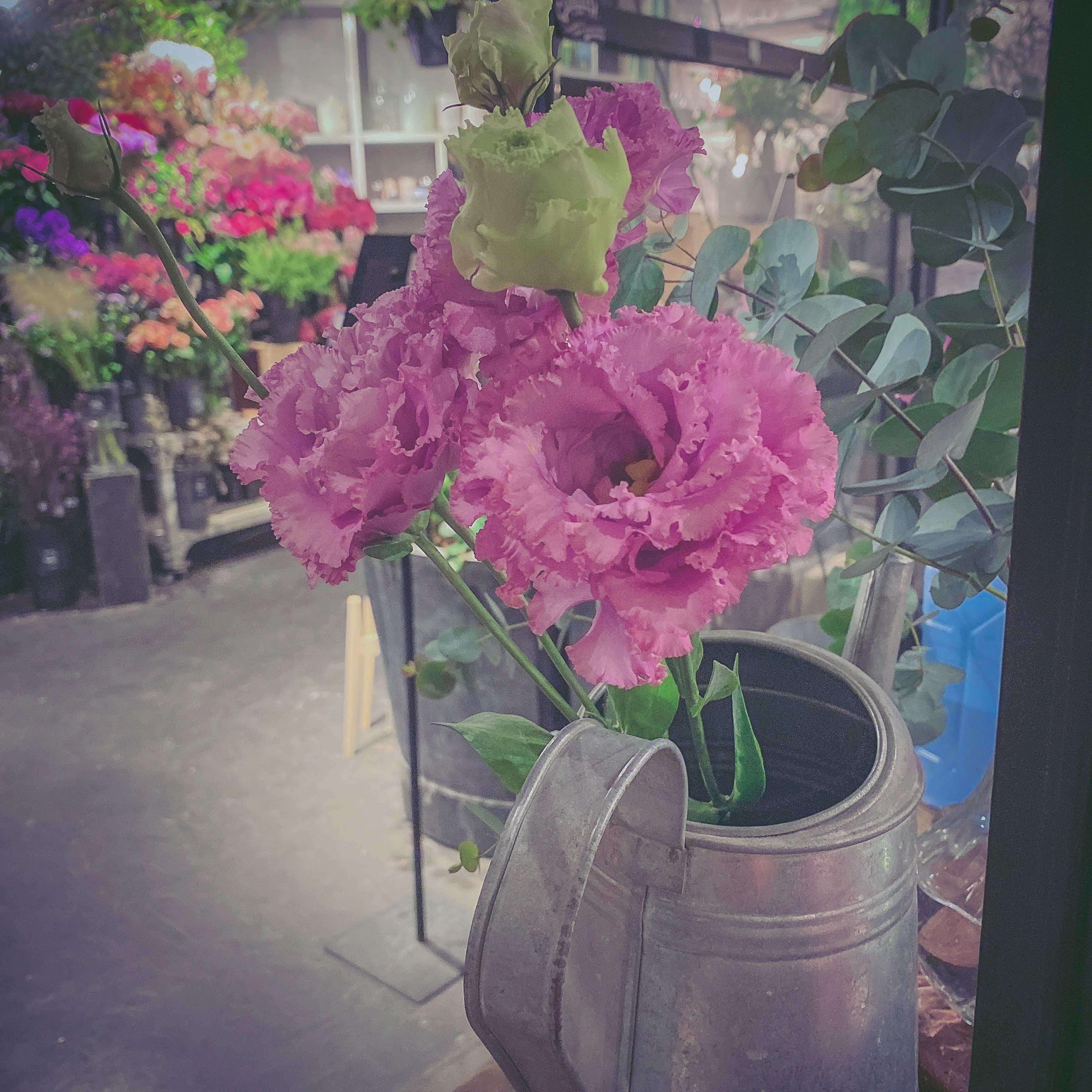 Pink flowers arranged in a watering can in a floral shop setting