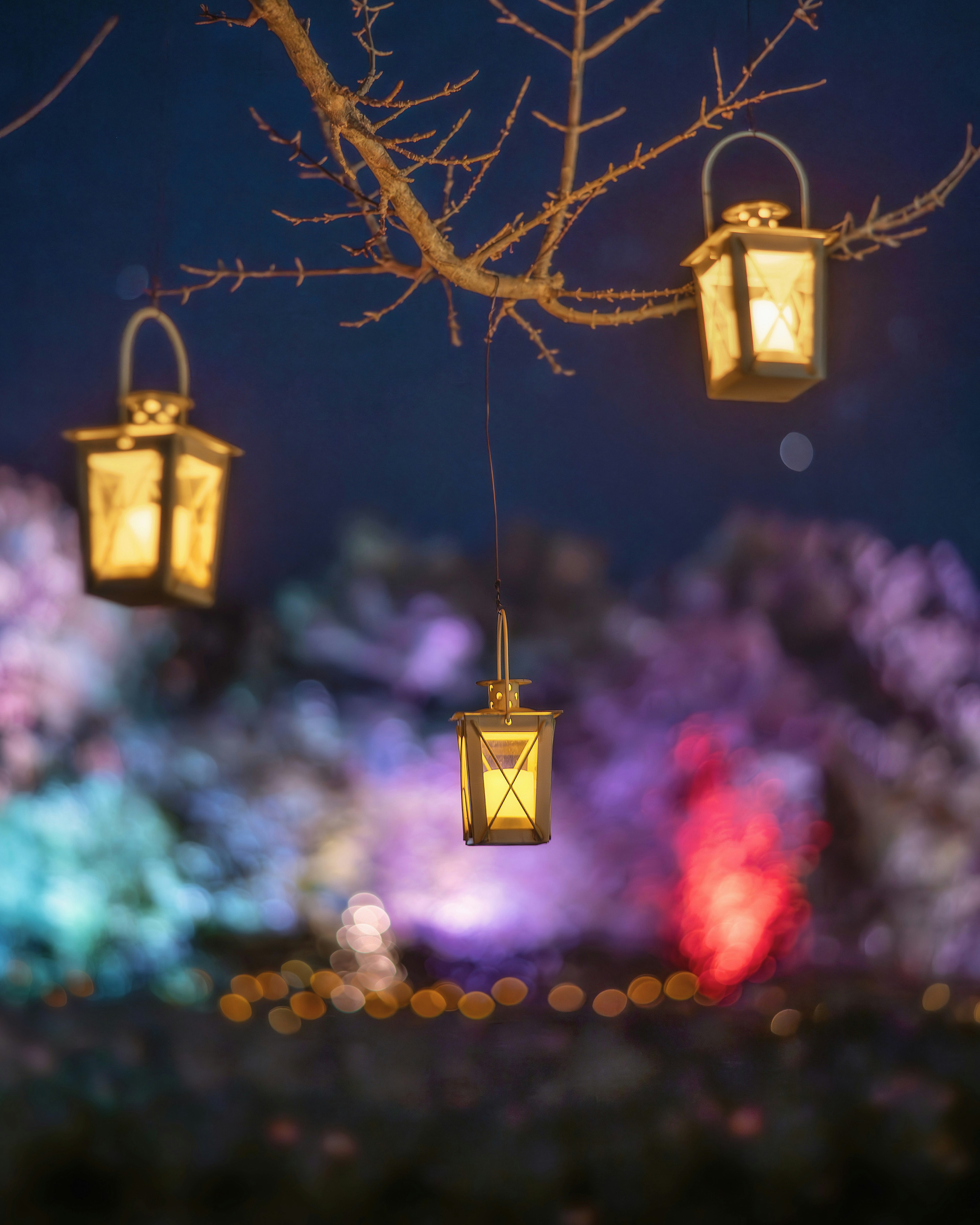 Beautiful lanterns hanging in a tree against a colorful night background