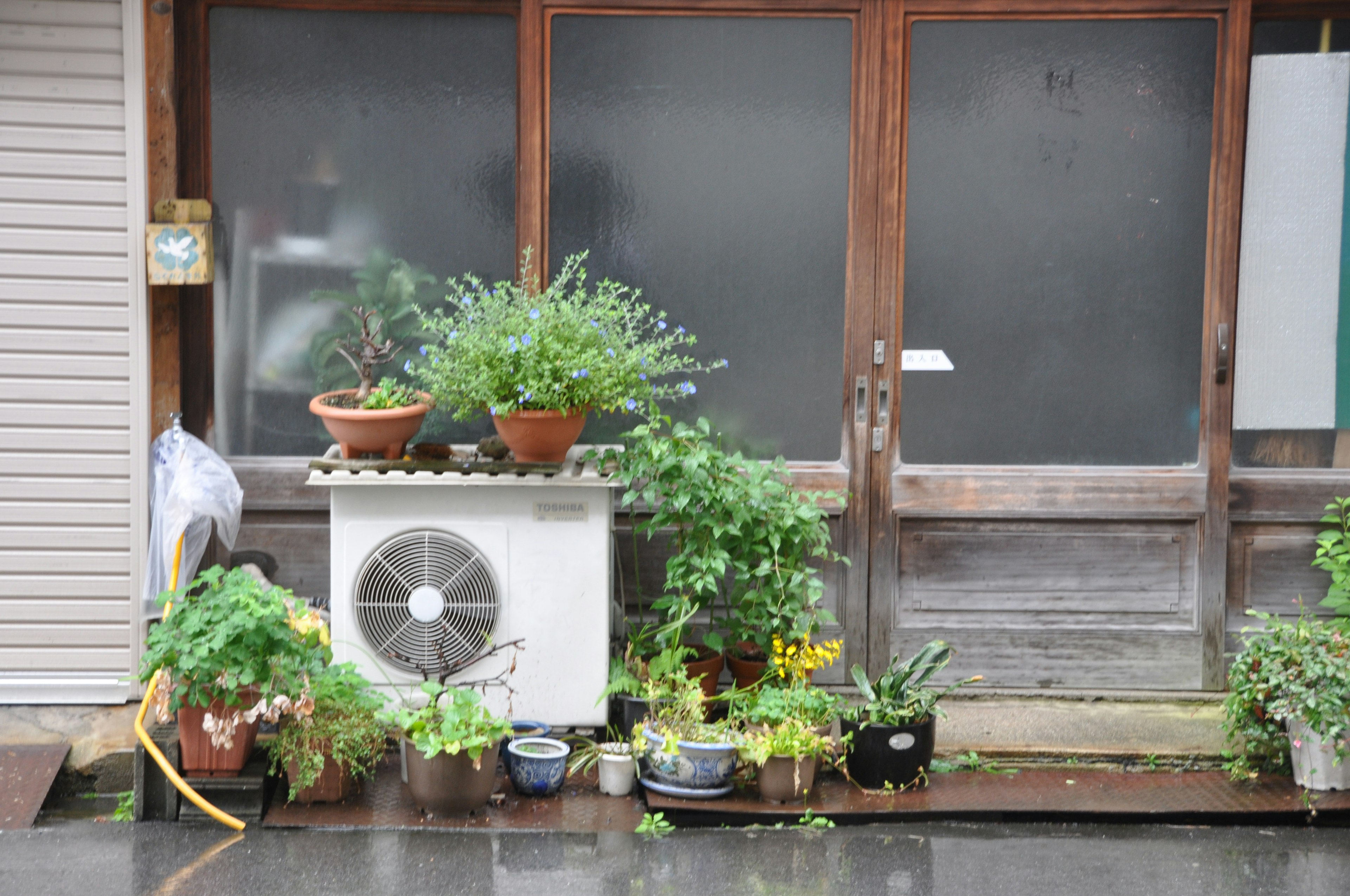 Air conditioning unit surrounded by plants in front of wooden doors