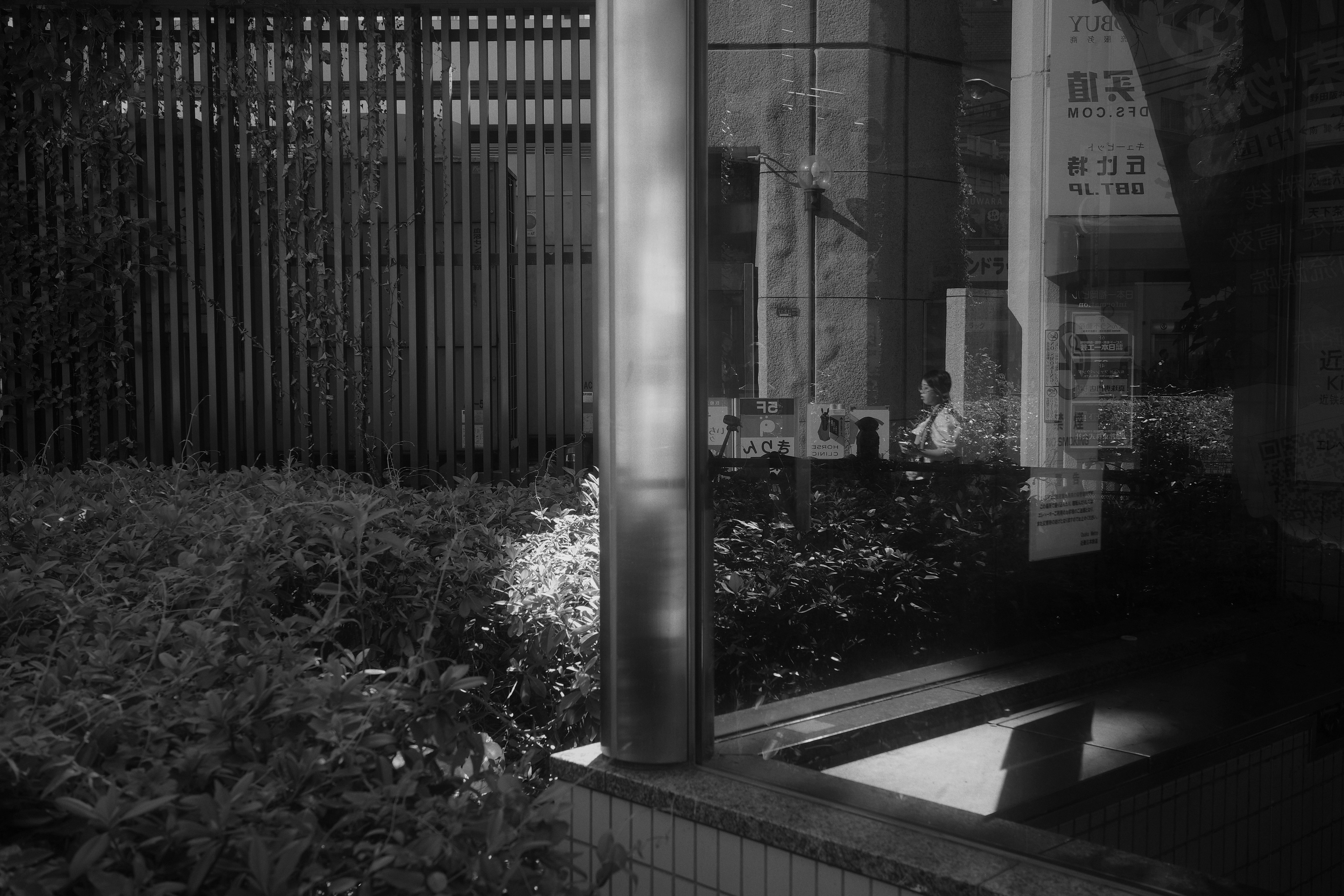 Contrast of a metallic pole and greenery in a nighttime urban scene