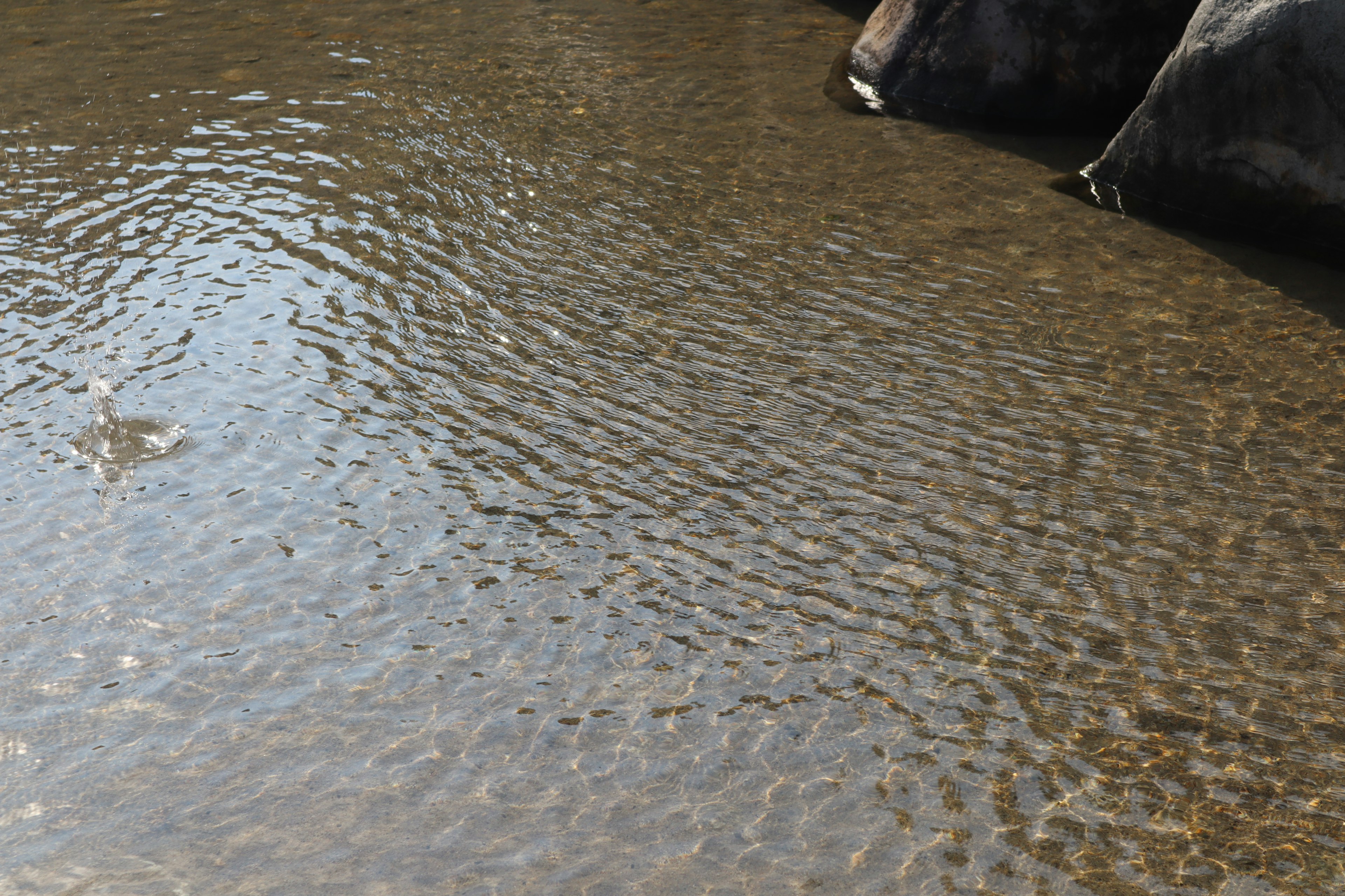 Superficie de agua tranquila con ondas y rocas