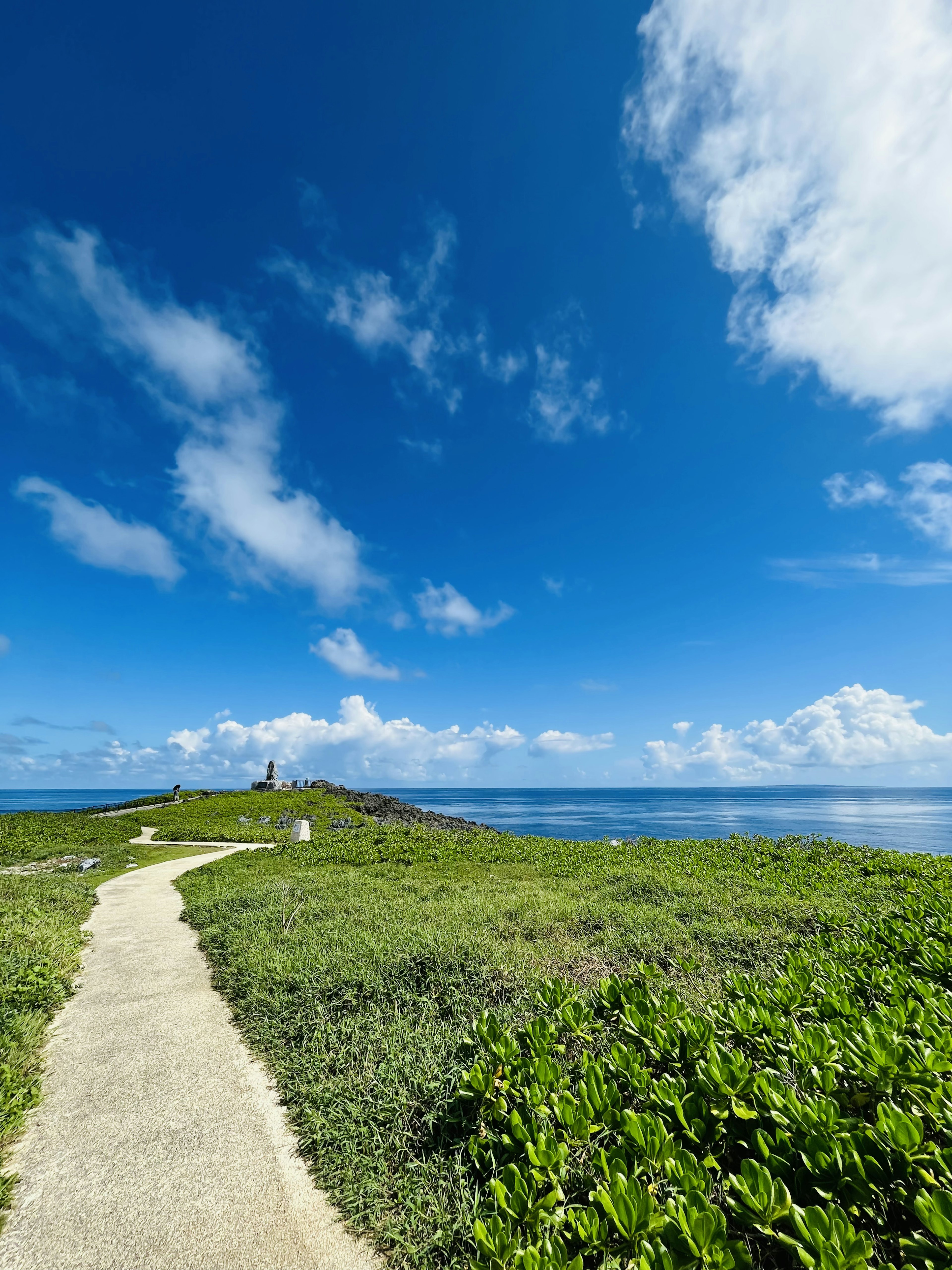 Weg, der durch üppiges grünes Gras unter einem strahlend blauen Himmel führt