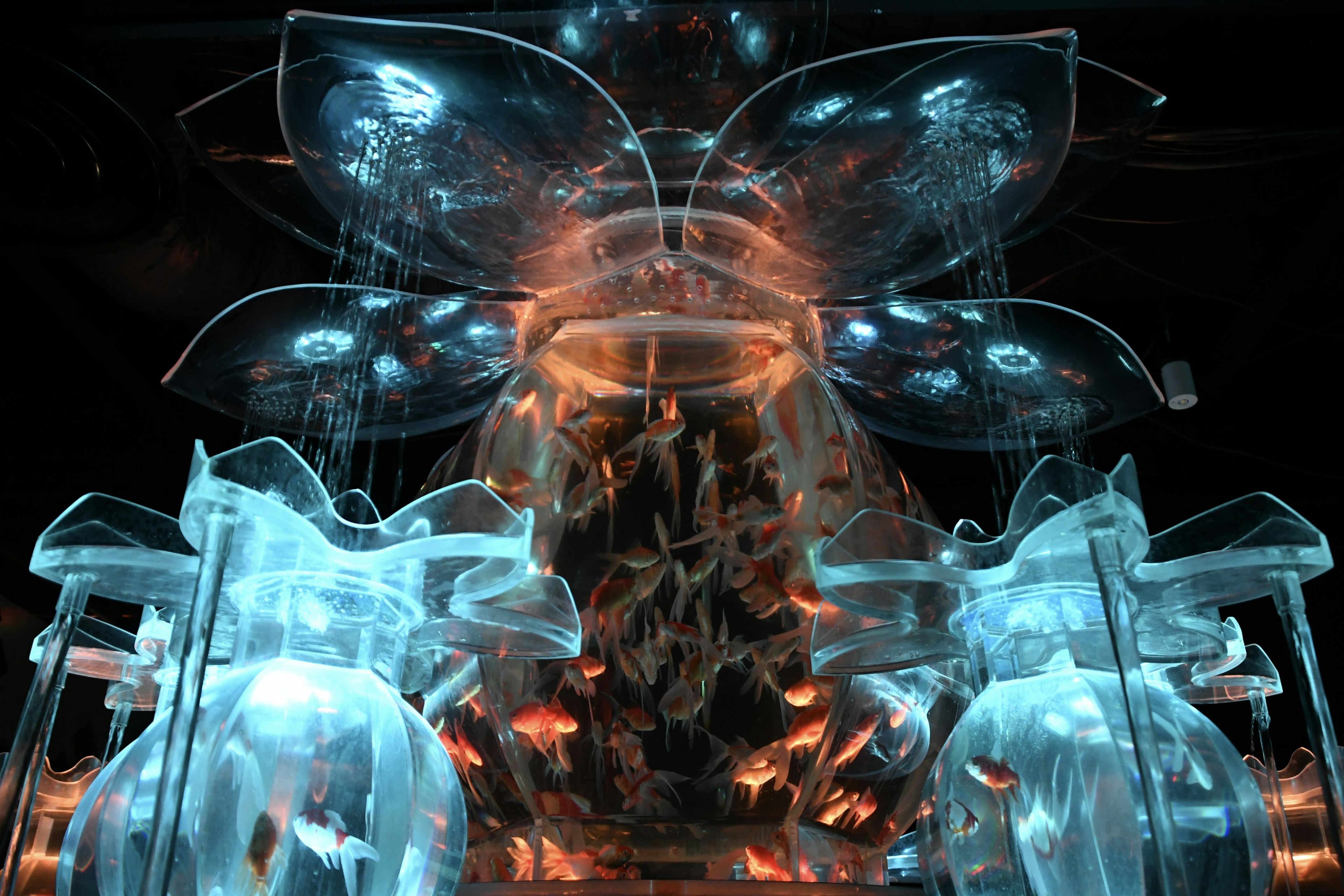 Transparent art piece featuring flower-like shapes and surrounding light effects