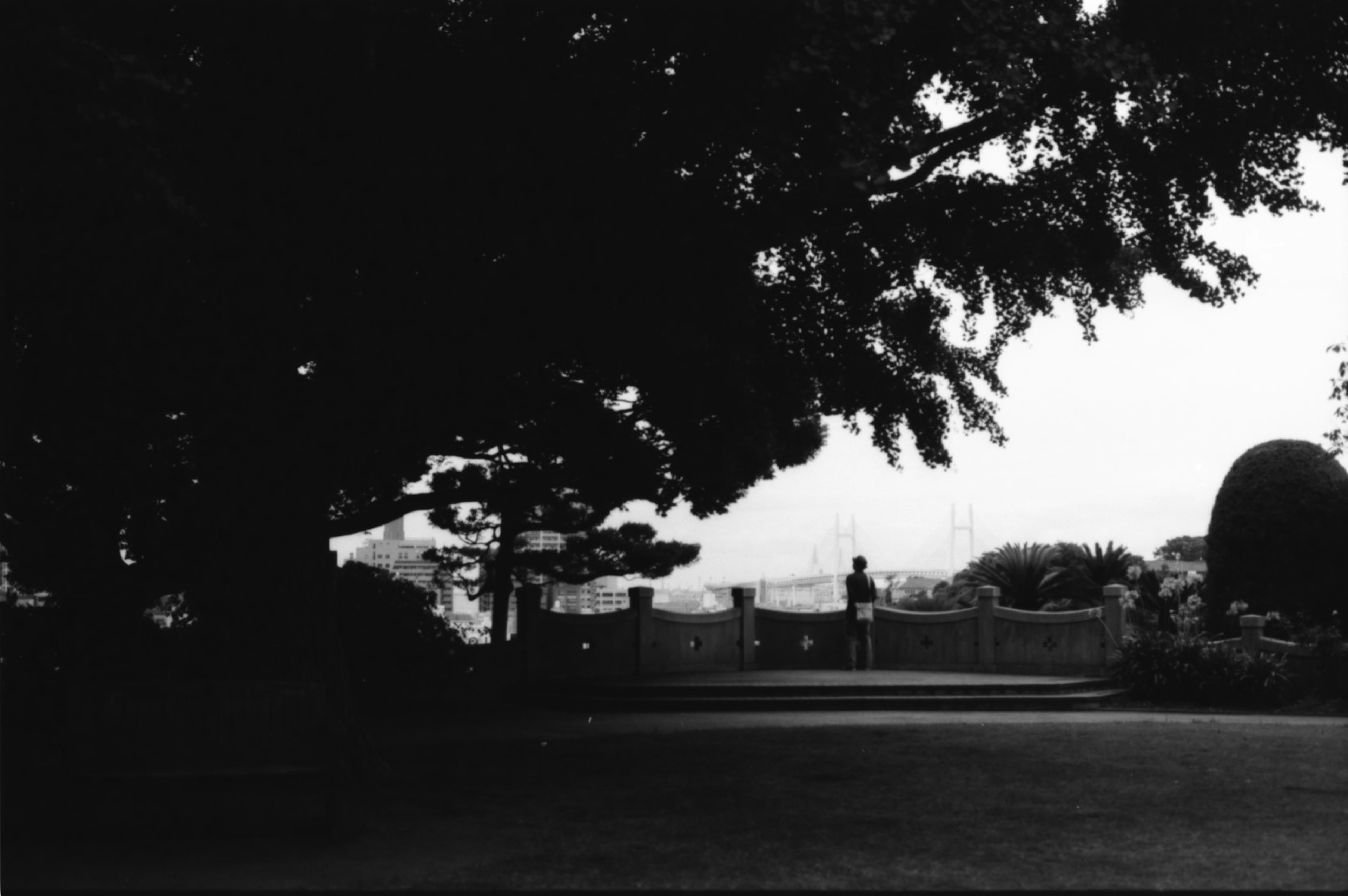 Silhouette of a person standing in the shade of trees in a black and white landscape