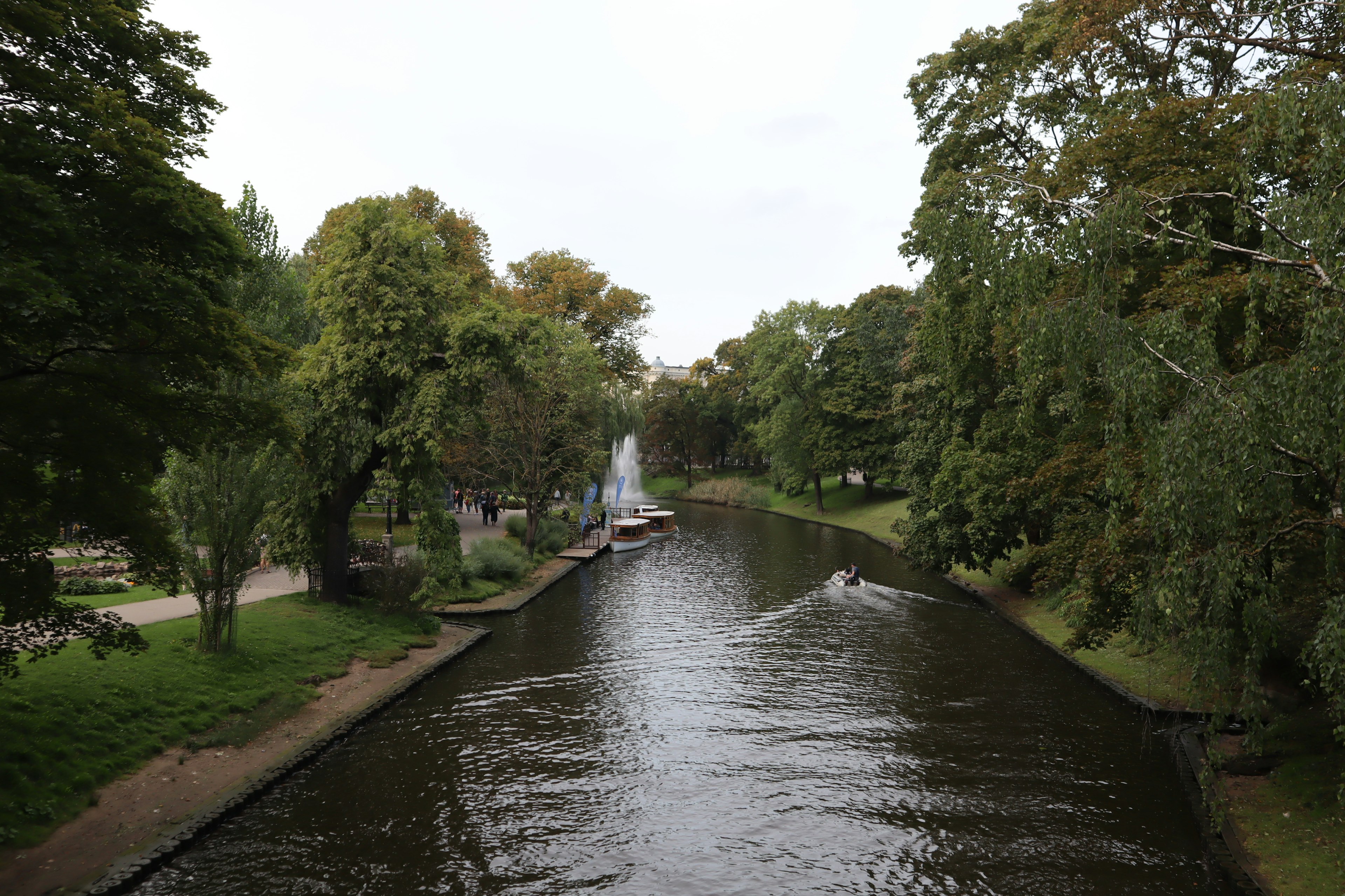 Serene river surrounded by lush green trees