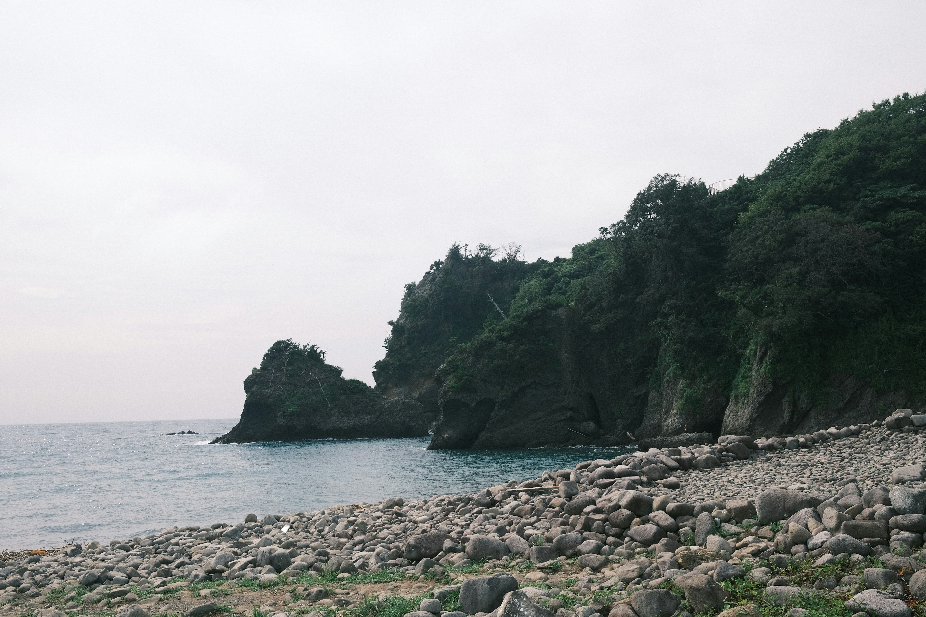 陰雲密布的天空下的海岸岩石和森林風景