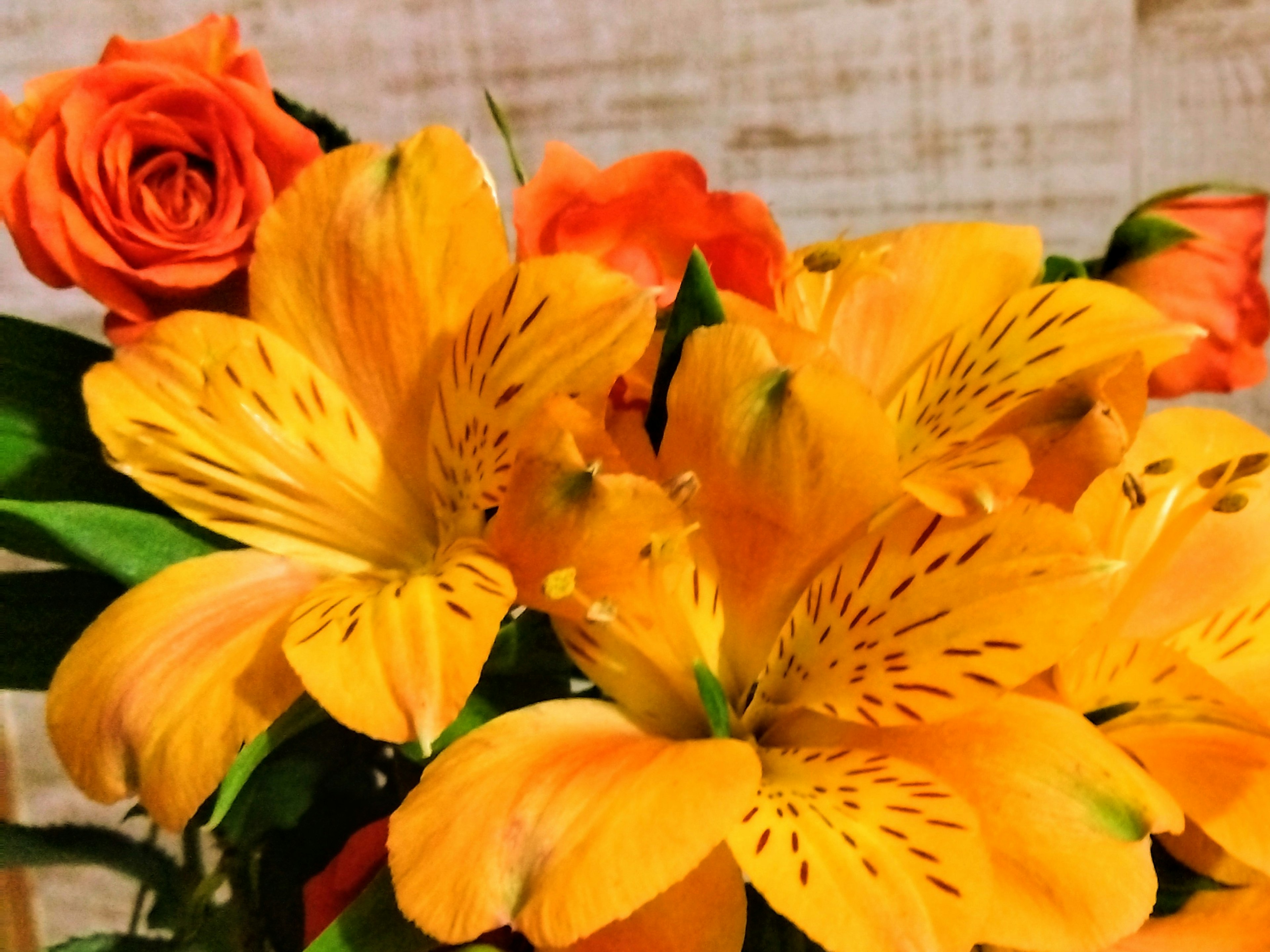 Strauß mit orangen Rosen und leuchtend gelben Blumen