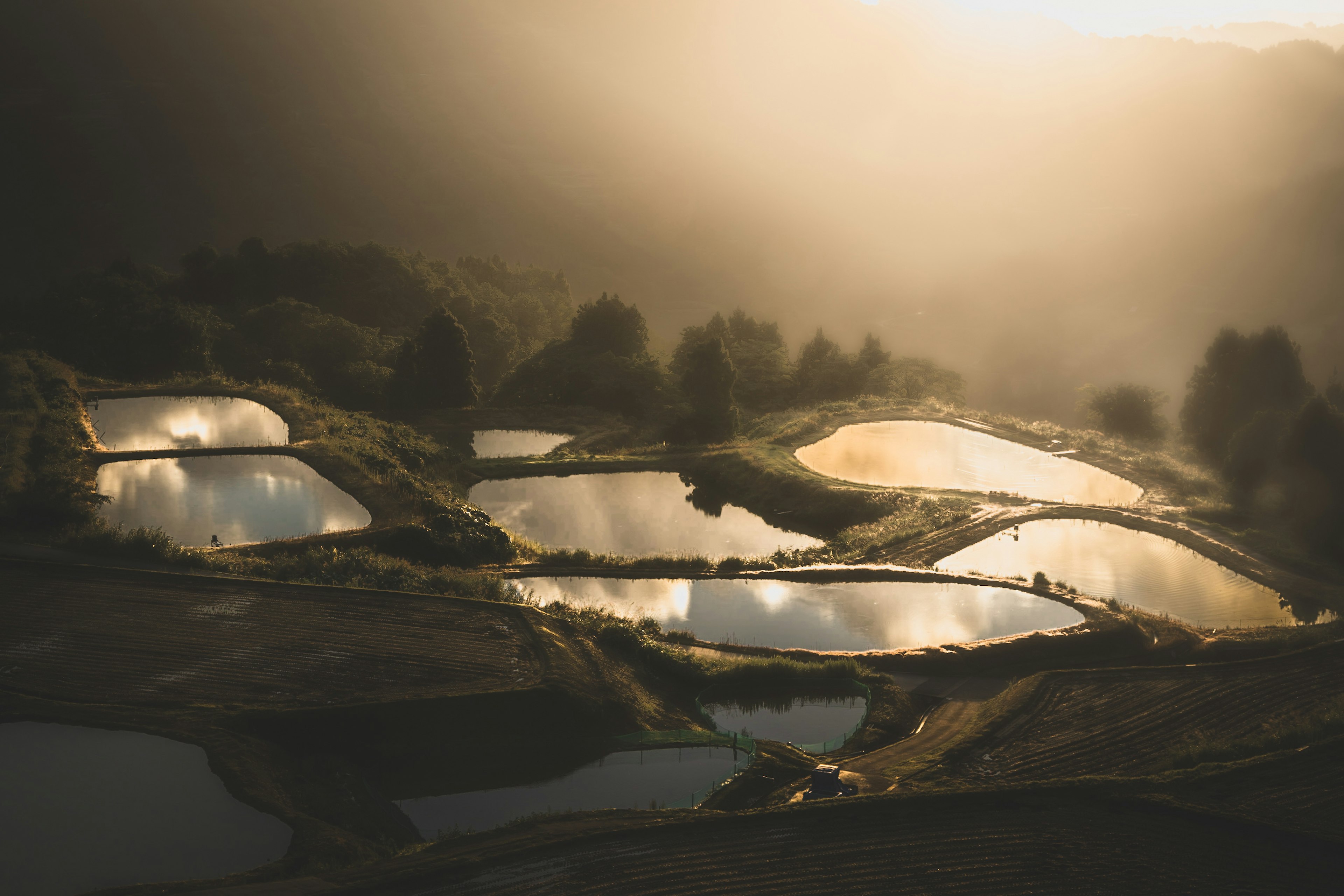 Campi di riso a terrazza che riflettono la luce del sole al tramonto con superfici d'acqua serene