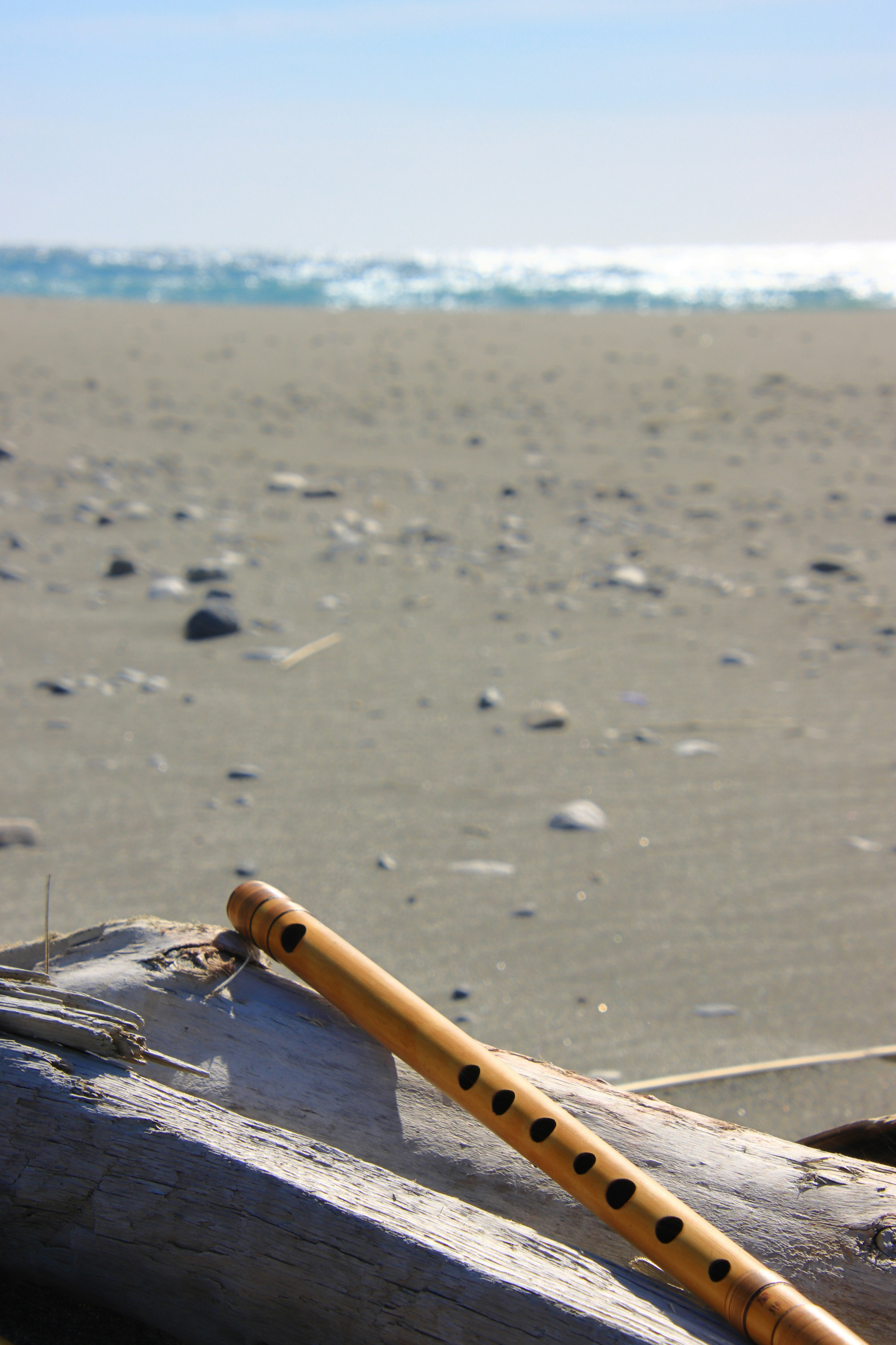 Holzflöte am Strand mit Ozeanhintergrund