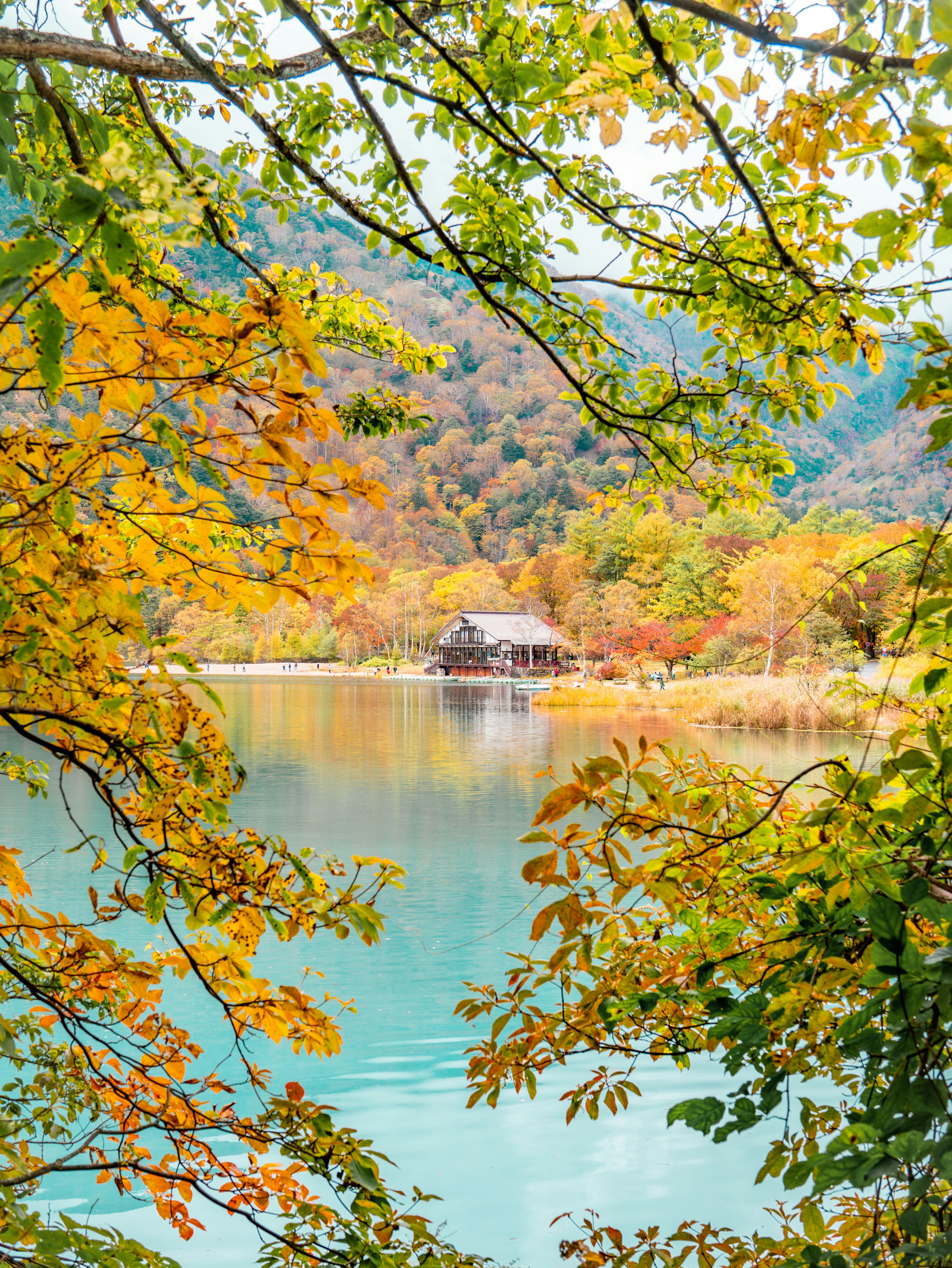 Vista escénica de un lago rodeado de follaje de otoño con una pequeña cabaña