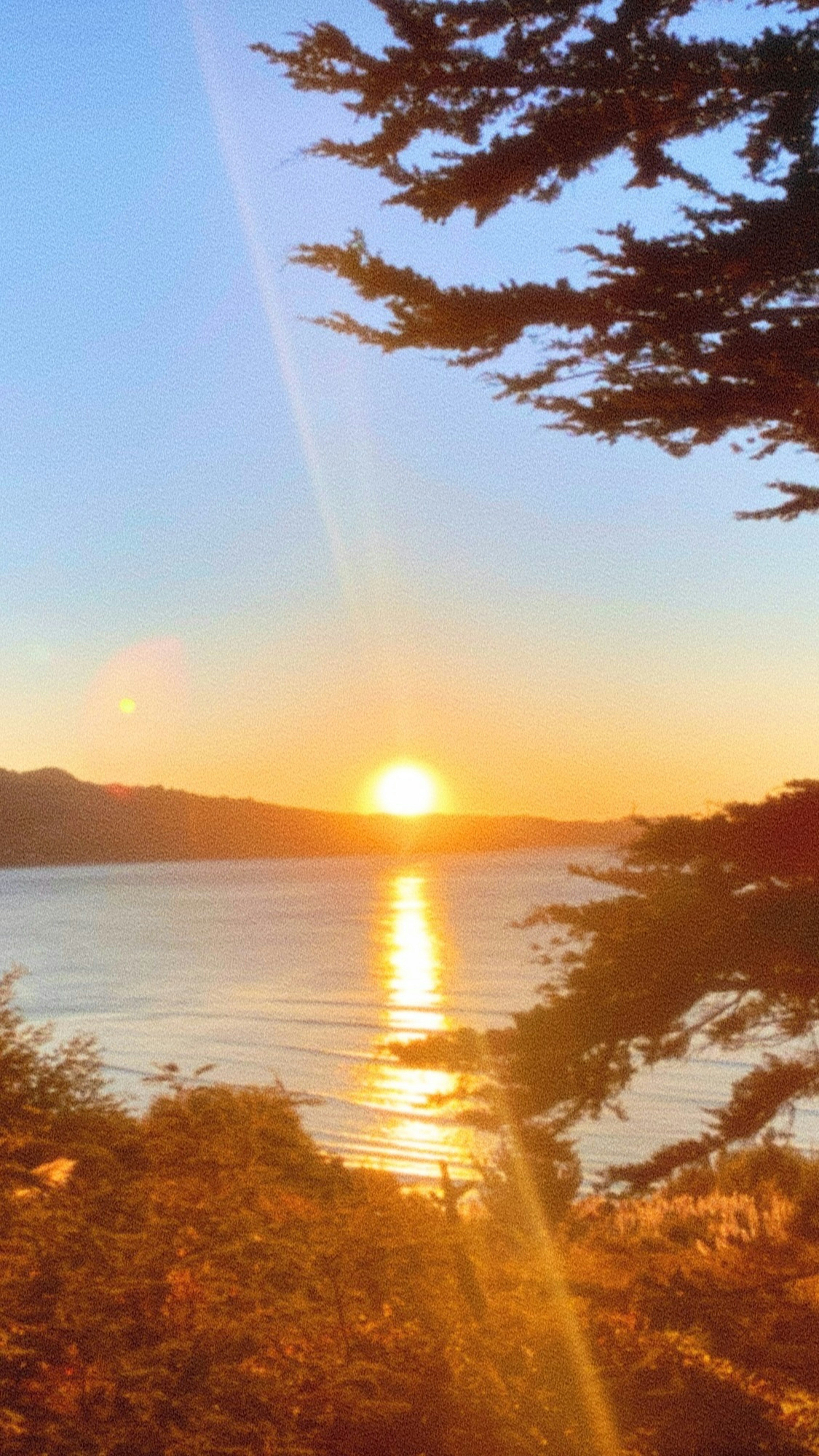 Magnifique coucher de soleil sur l'océan avec des arbres en silhouette