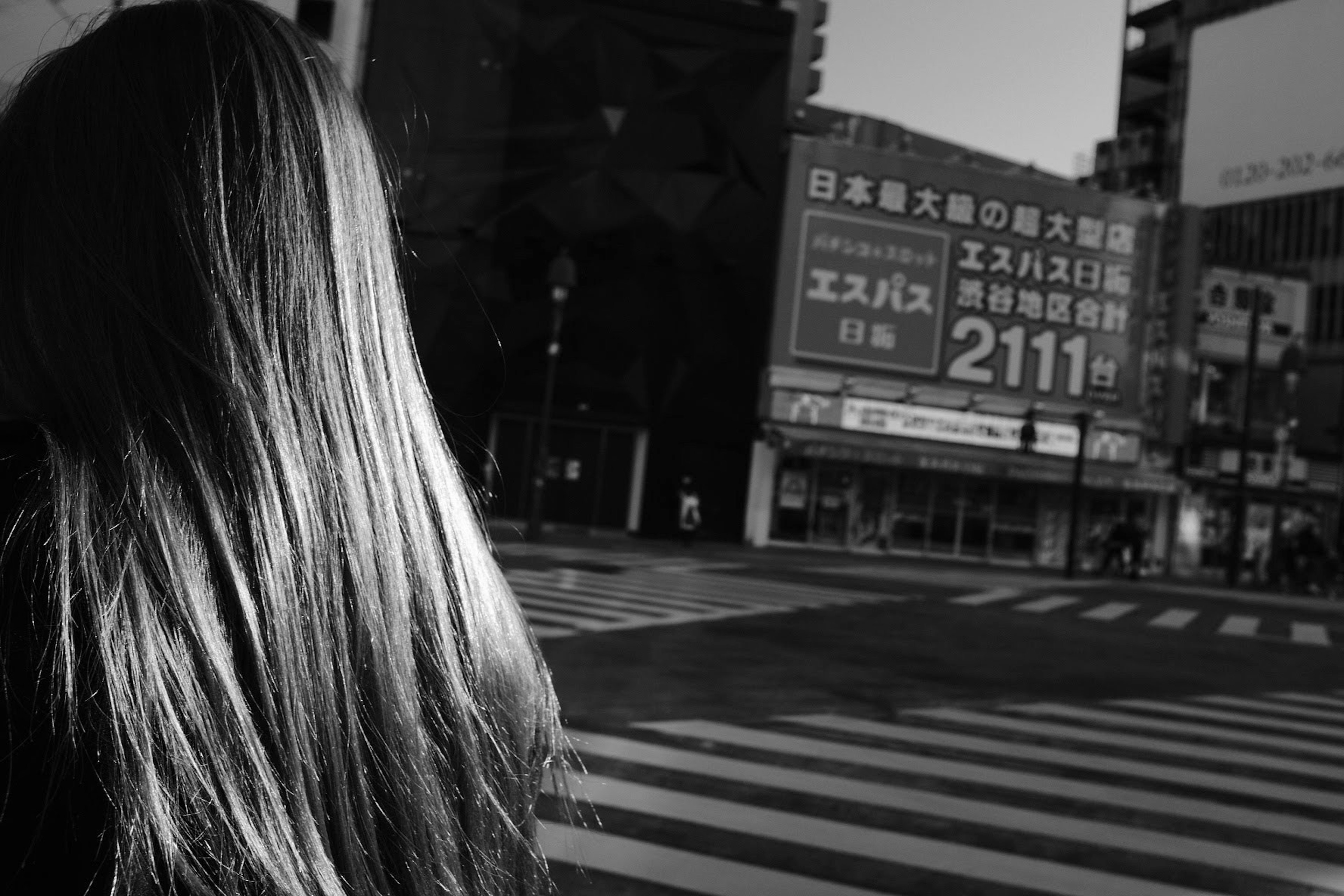 女性の後ろ姿とストライプの横断歩道を背景にした都市の風景