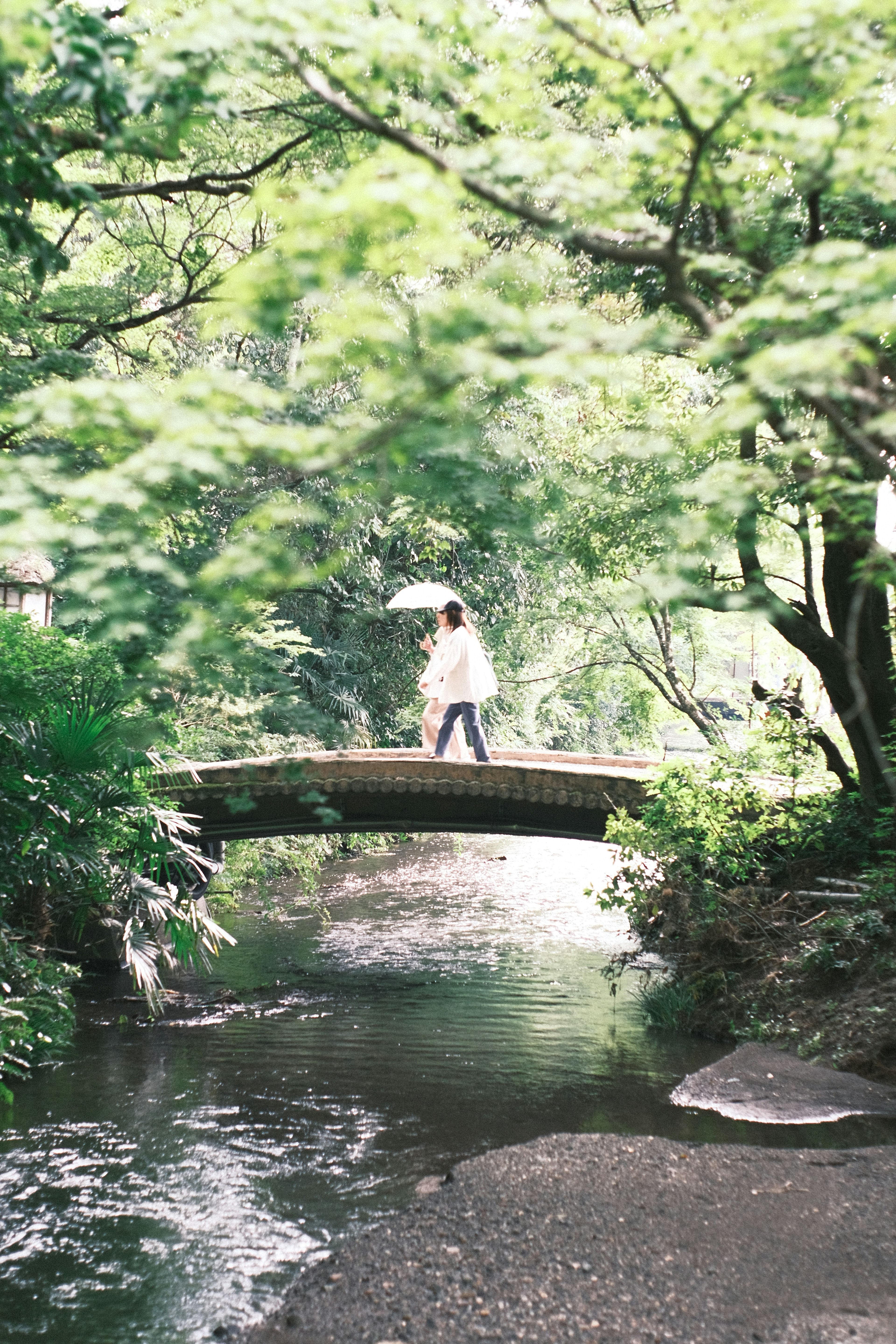 緑に囲まれた小さな橋を渡る女性