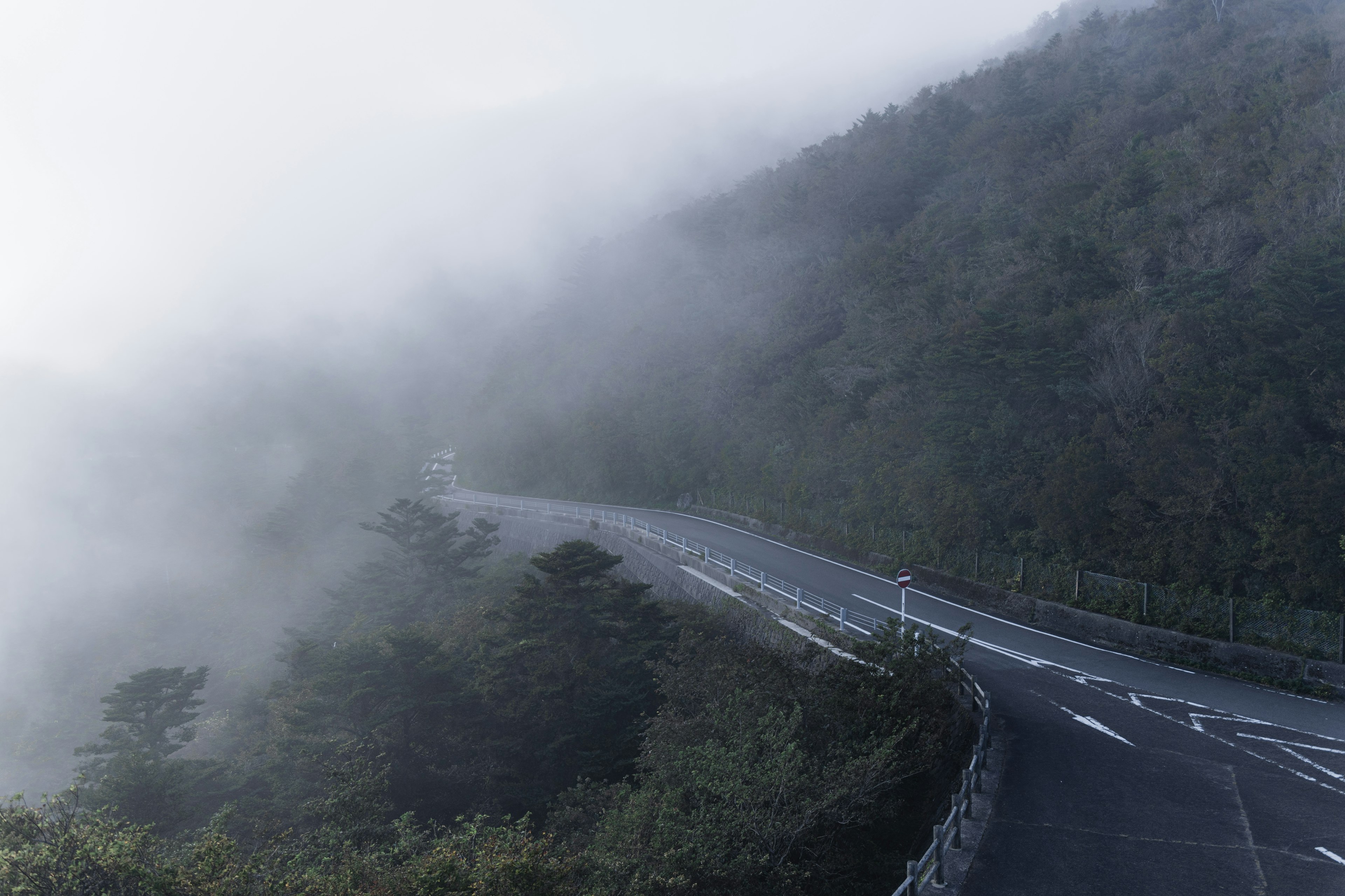 Carretera de montaña curvada envuelta en niebla