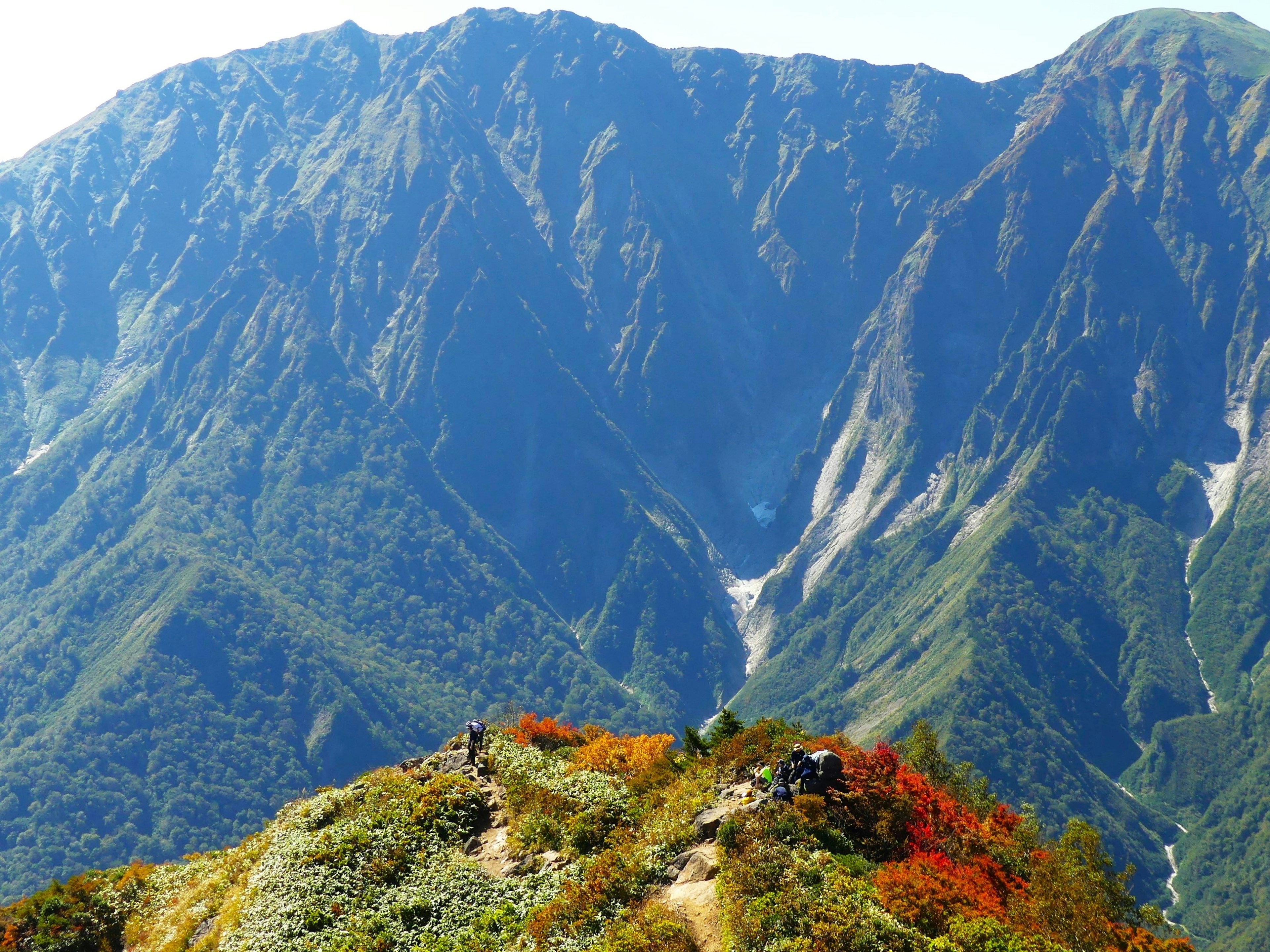 Stupendo paesaggio montano con fogliame vibrante