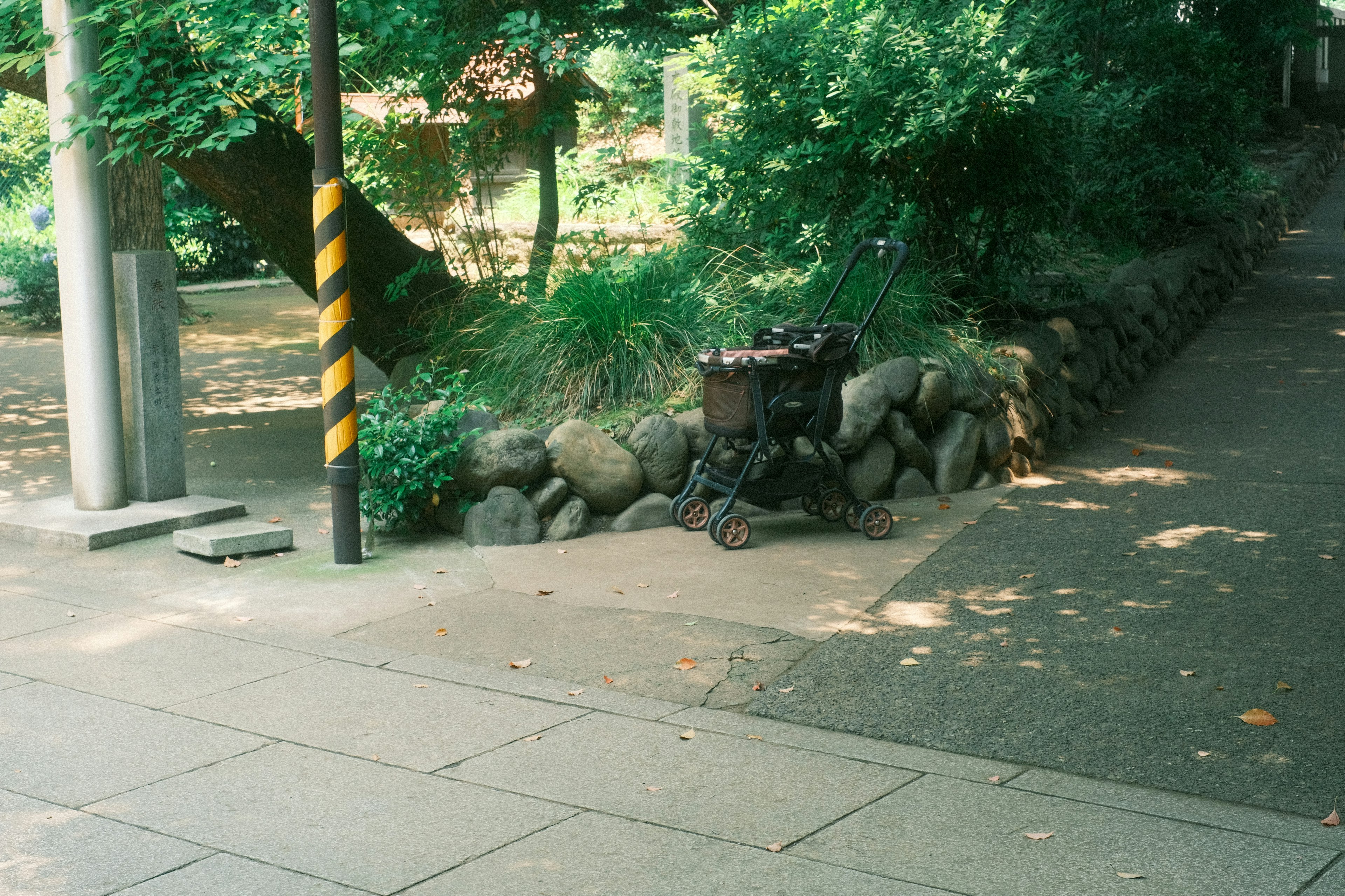 緑の木々に囲まれた歩道の近くに置かれた古いカート