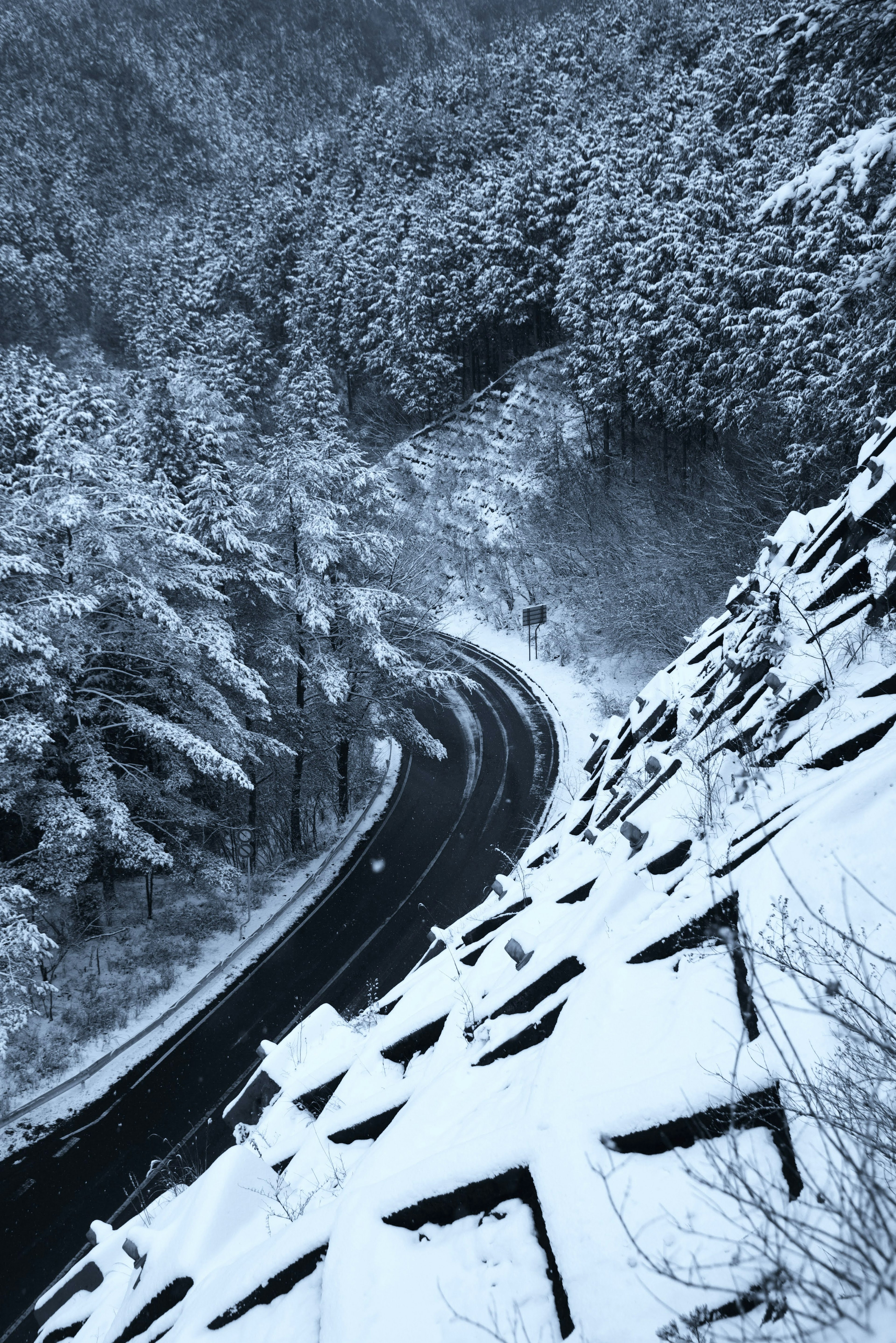 雪に覆われた道路と森の美しい風景