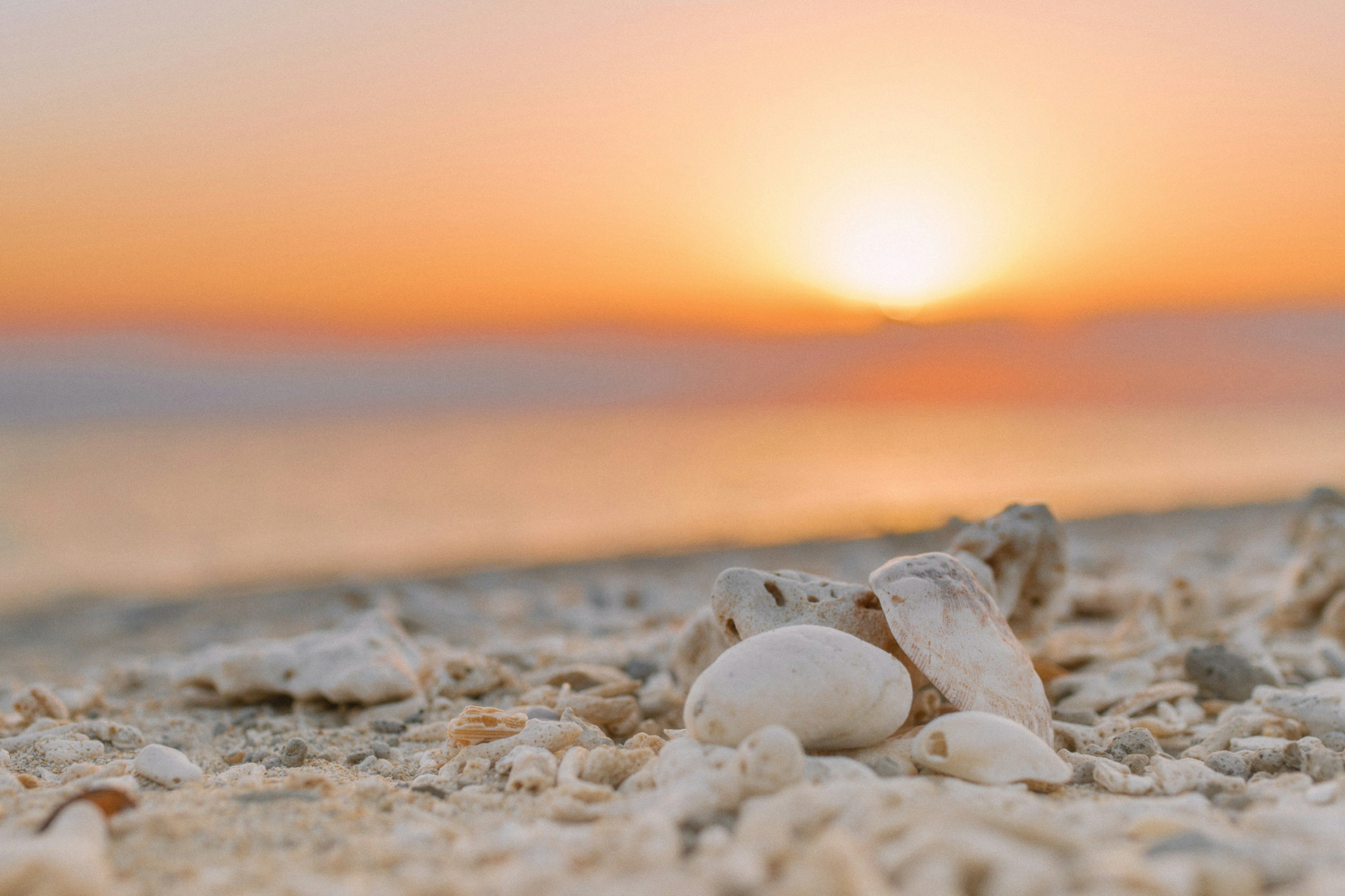 Strandszene mit Muscheln und Sonnenuntergang