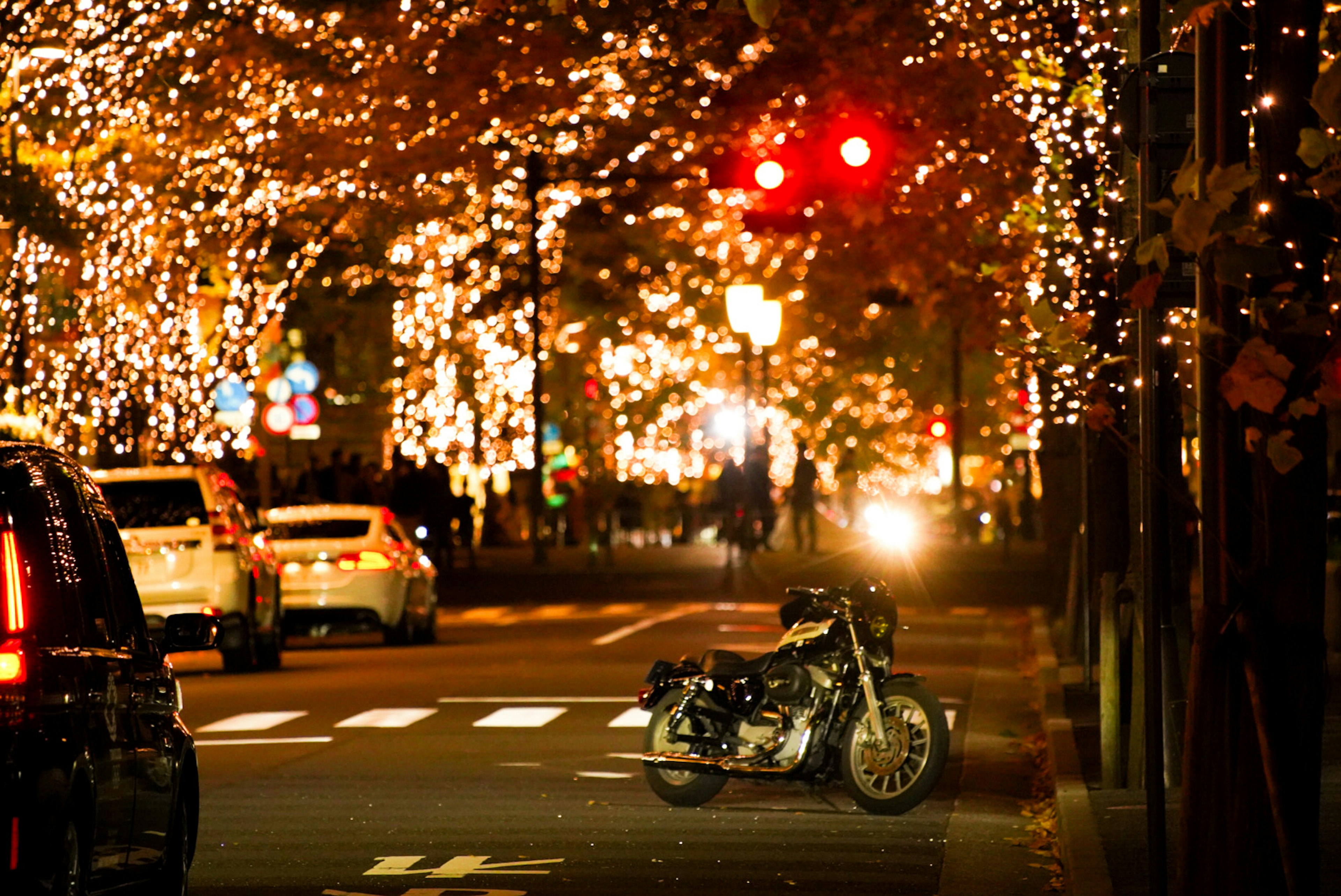 Night scene with street lights and a motorcycle parked by illuminated trees